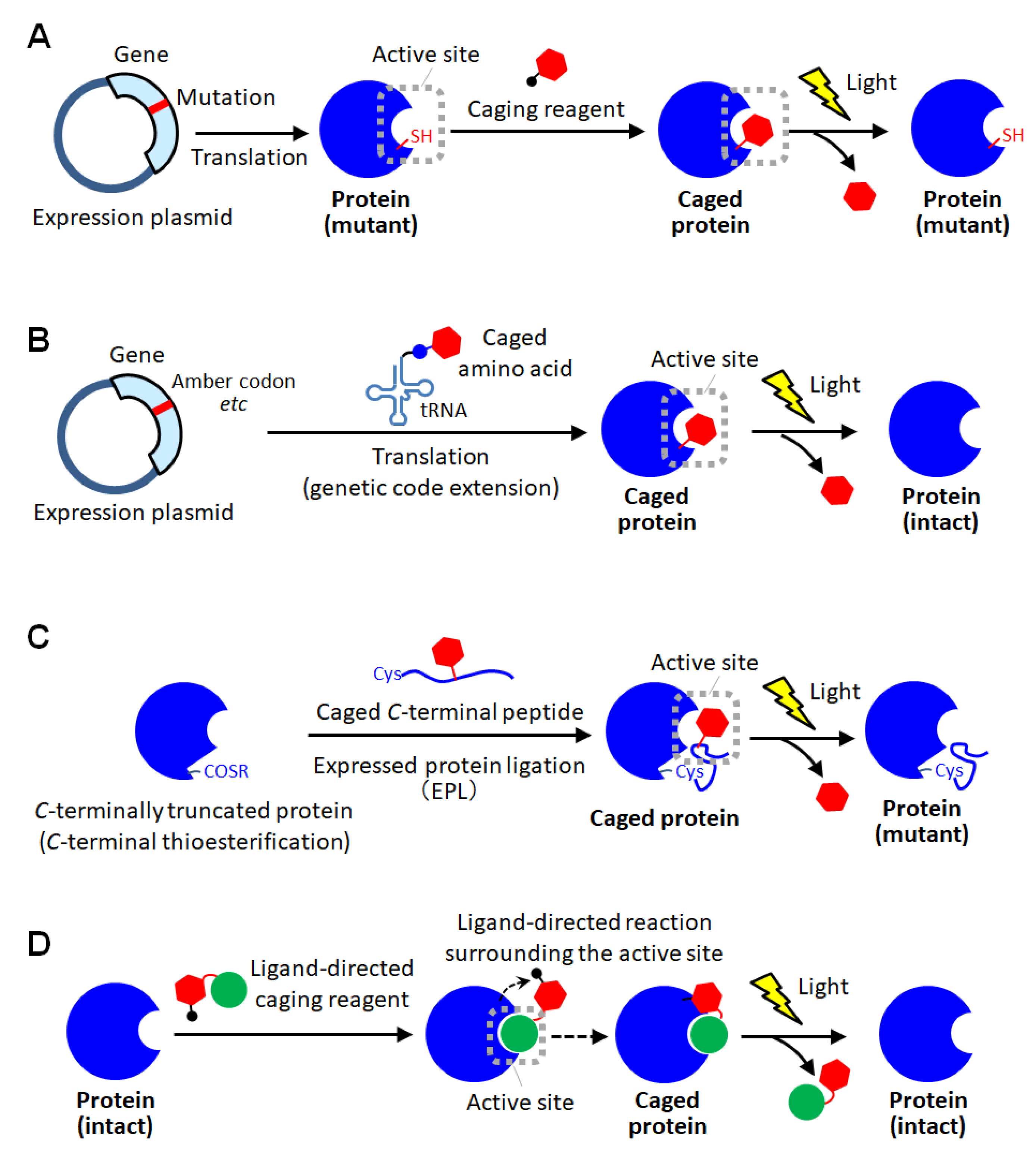 Applsci 12 03750 g002