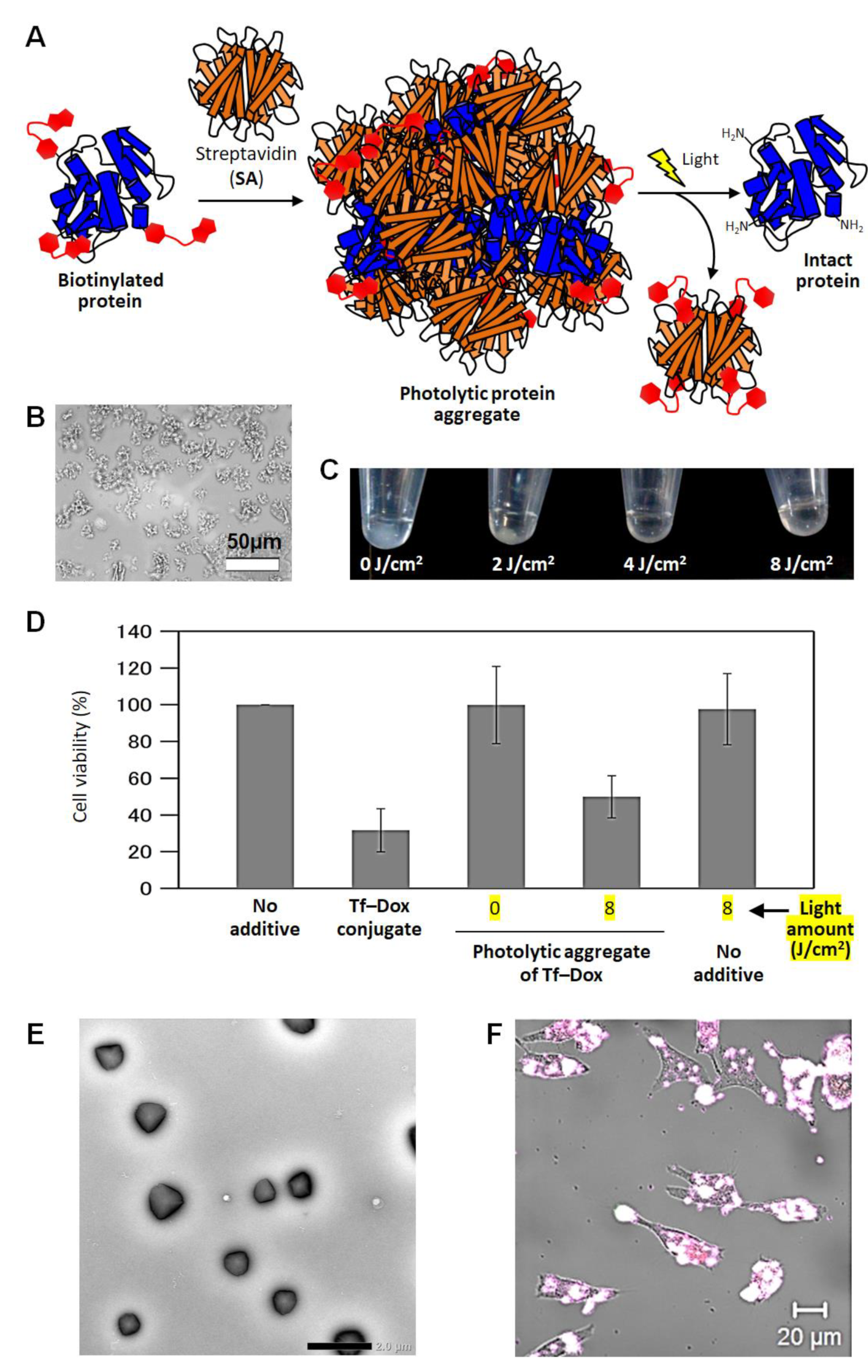 Applsci 12 03750 g005