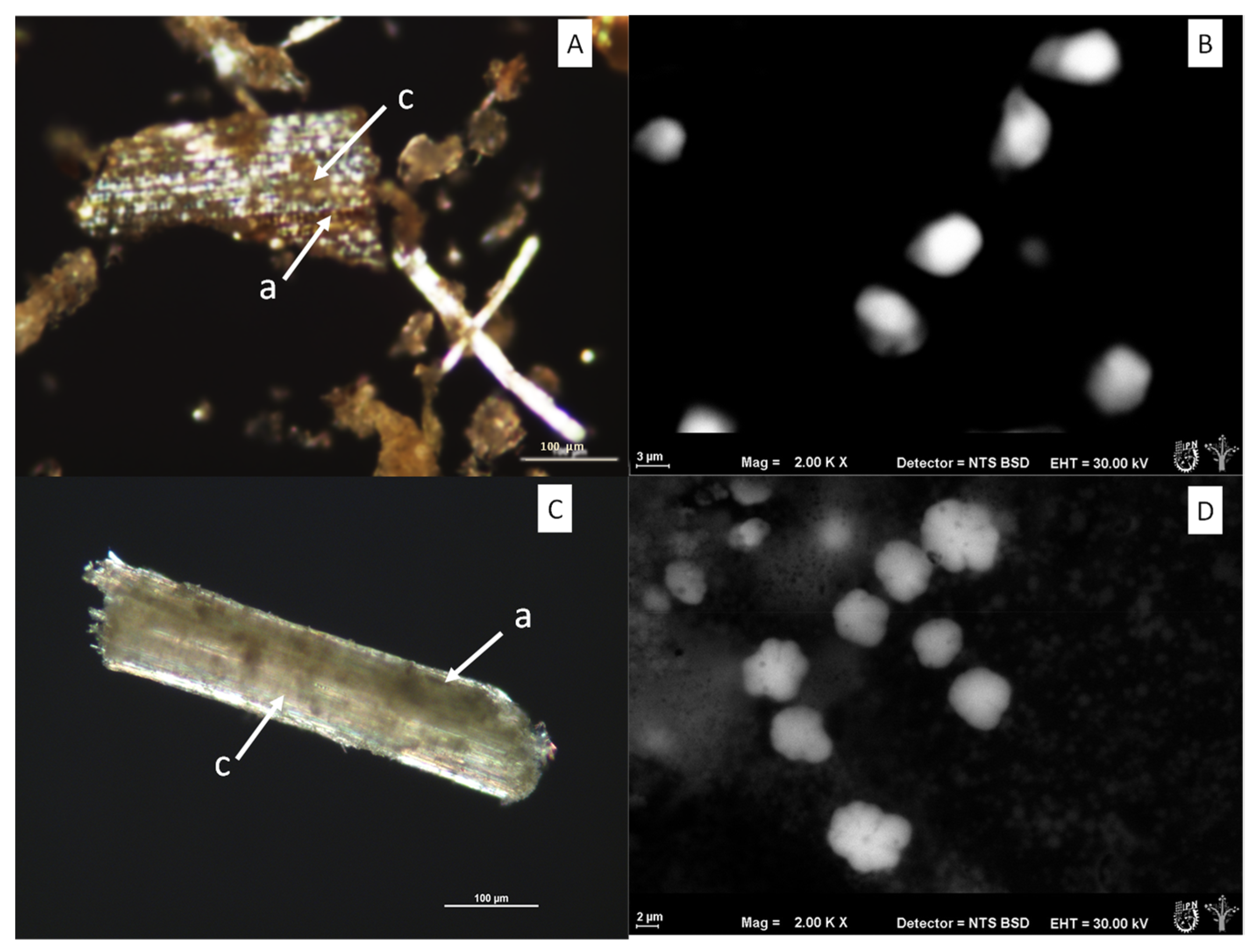 Applsci 12 03761 g004