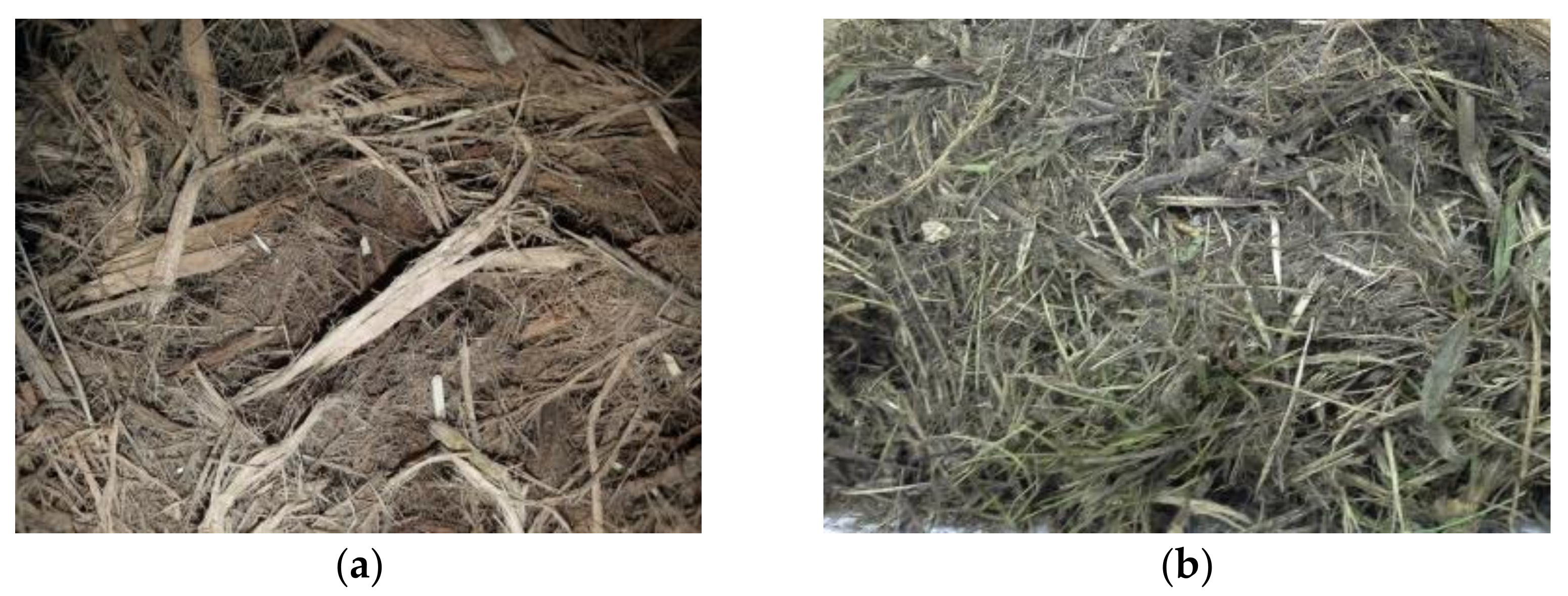 Applsci 12 03775 g001