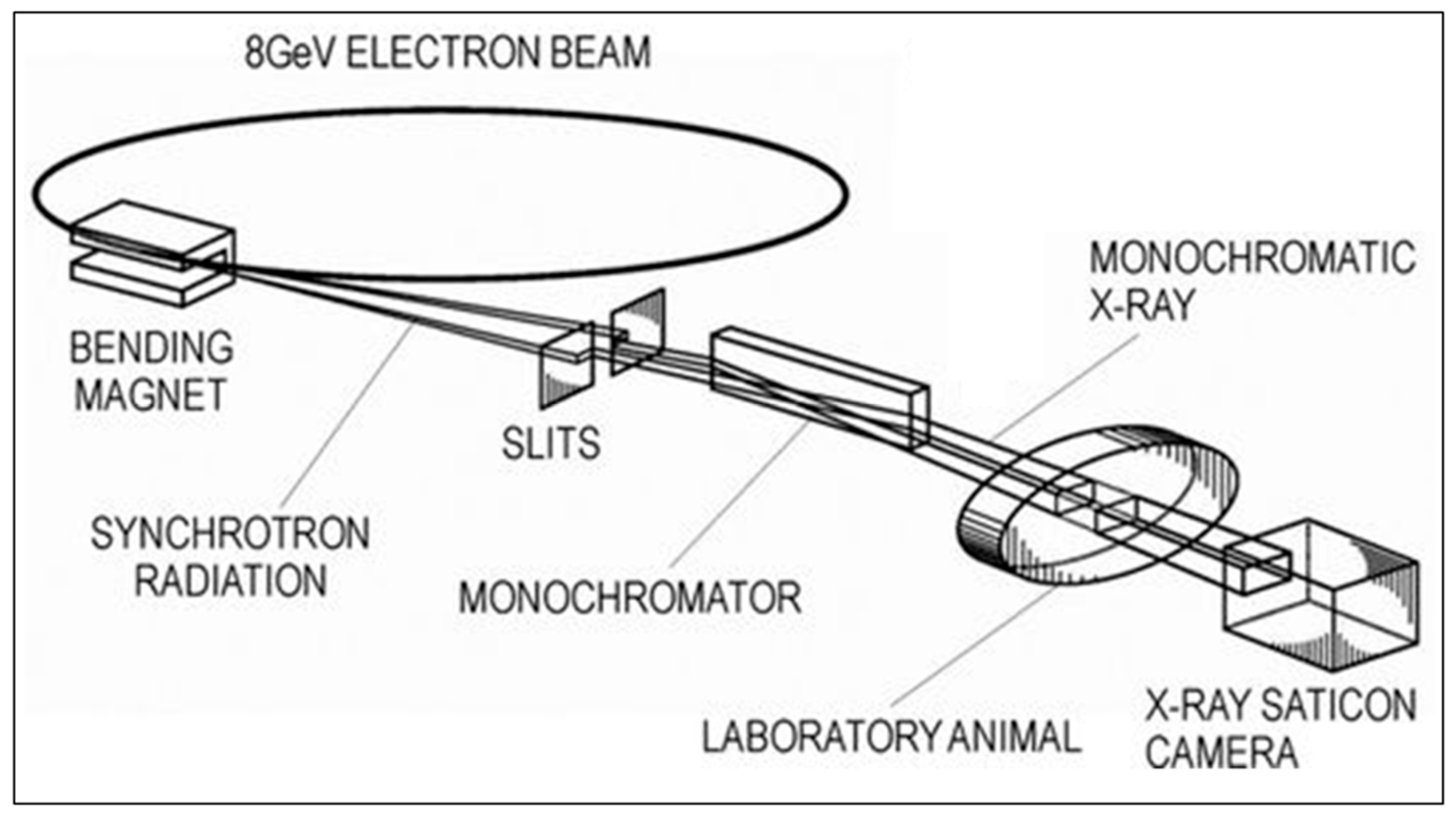 Quantitative Assessment and Measurement of X-ray Detector