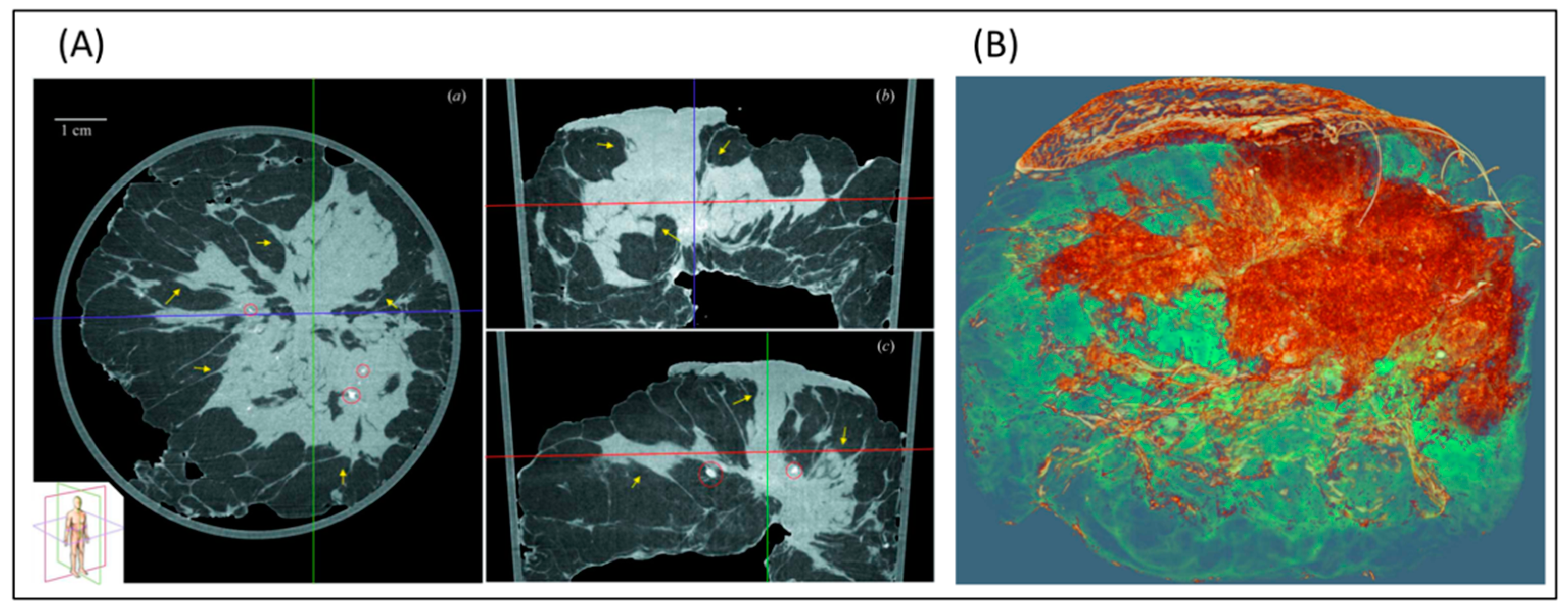Applsci 12 03790 g003 Applsci 12 03790 g003