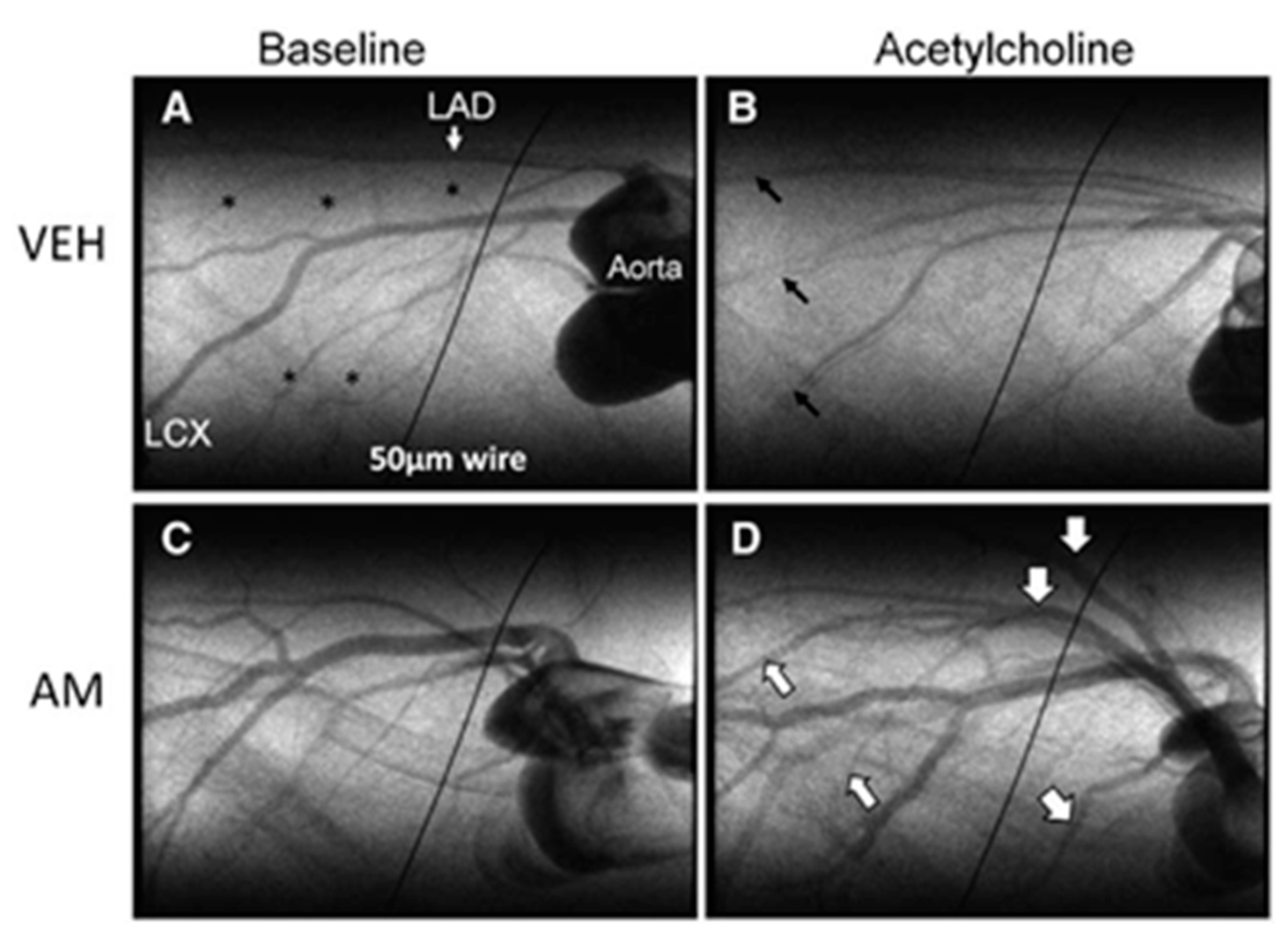 Applsci 12 03790 g005 Applsci 12 03790 g005