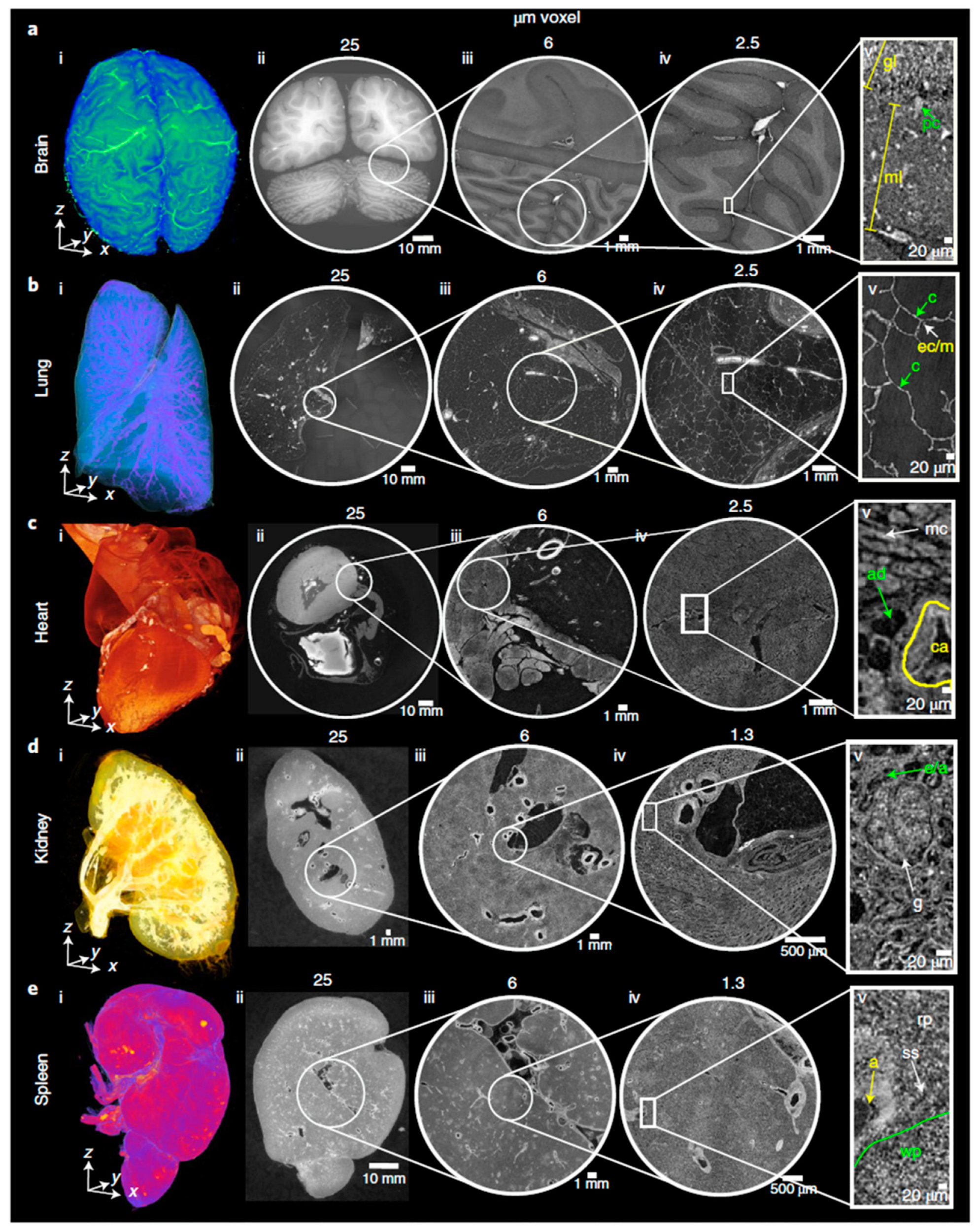 Applsci 12 03790 g008 Applsci 12 03790 g008