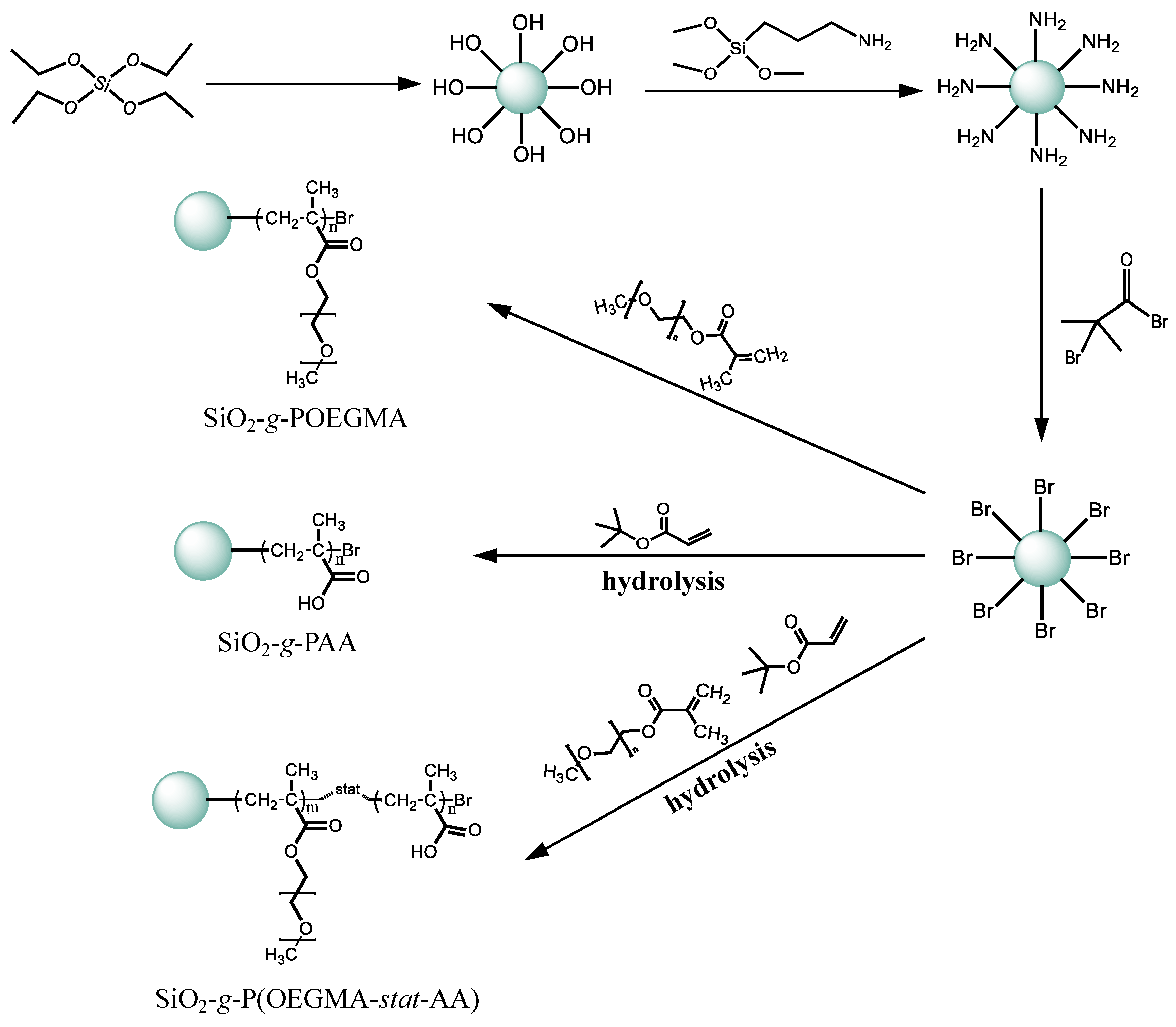 Applsci 12 03799 sch001 550