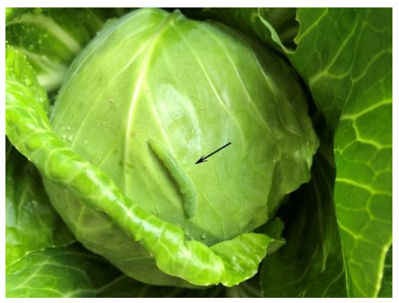 Applsci 12 03810 g001