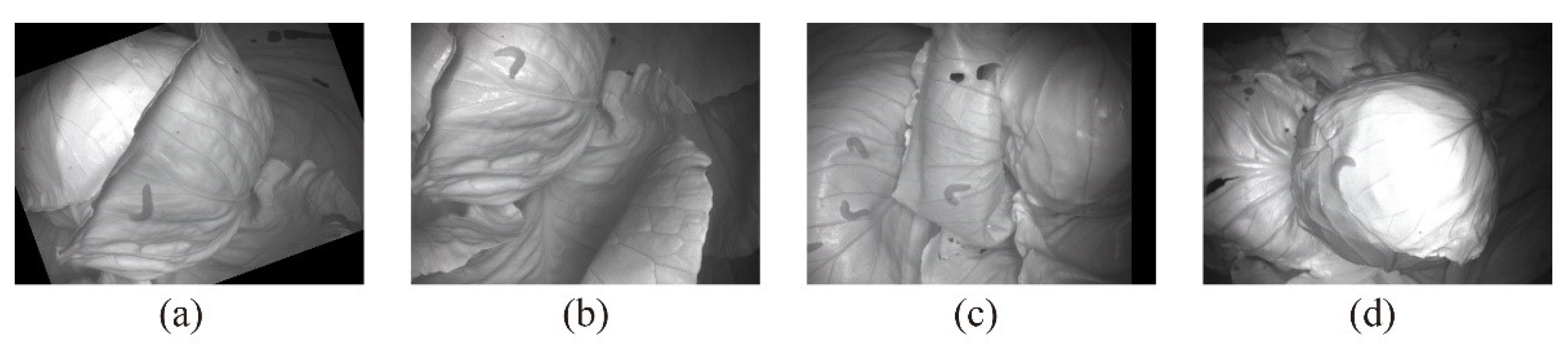 Applsci 12 03810 g005