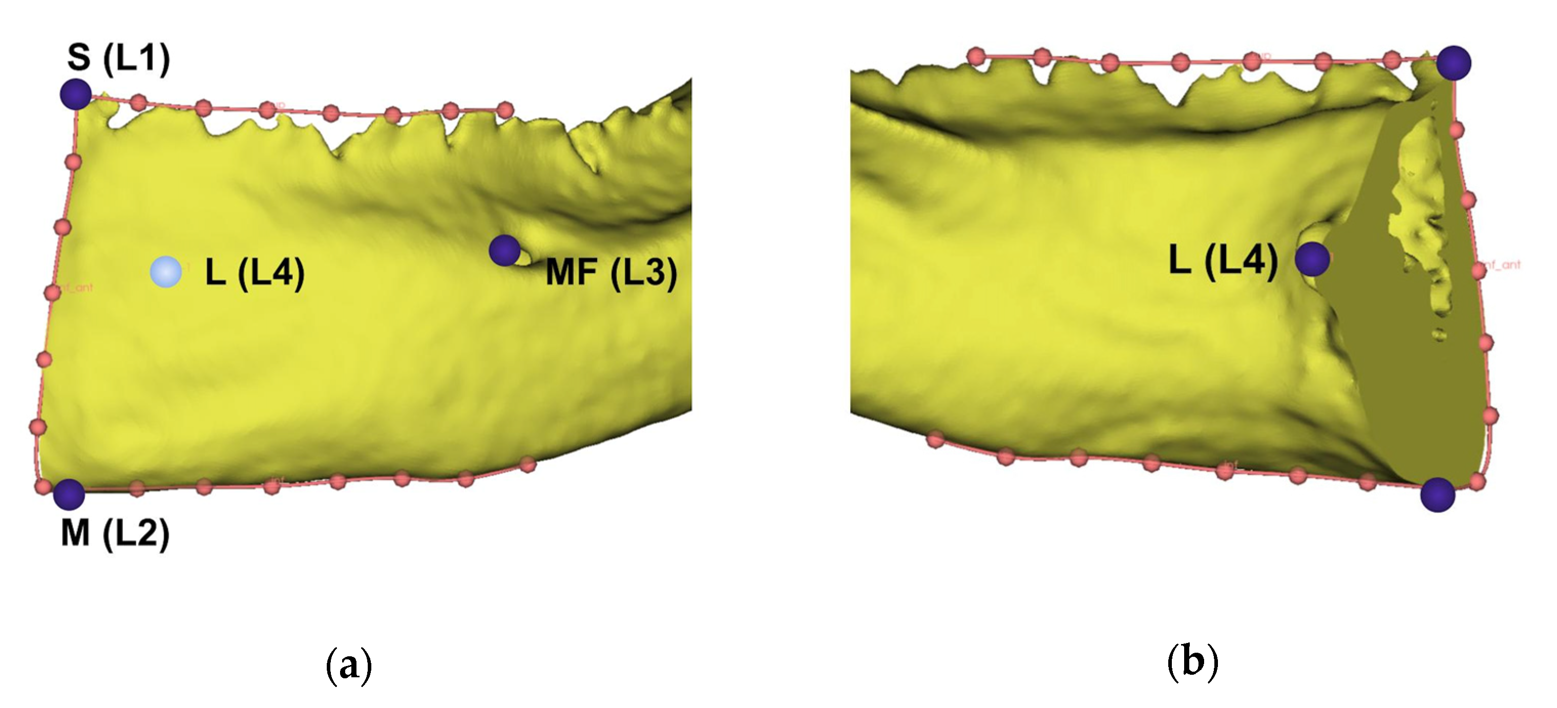 Applsci 12 03813 g002 550