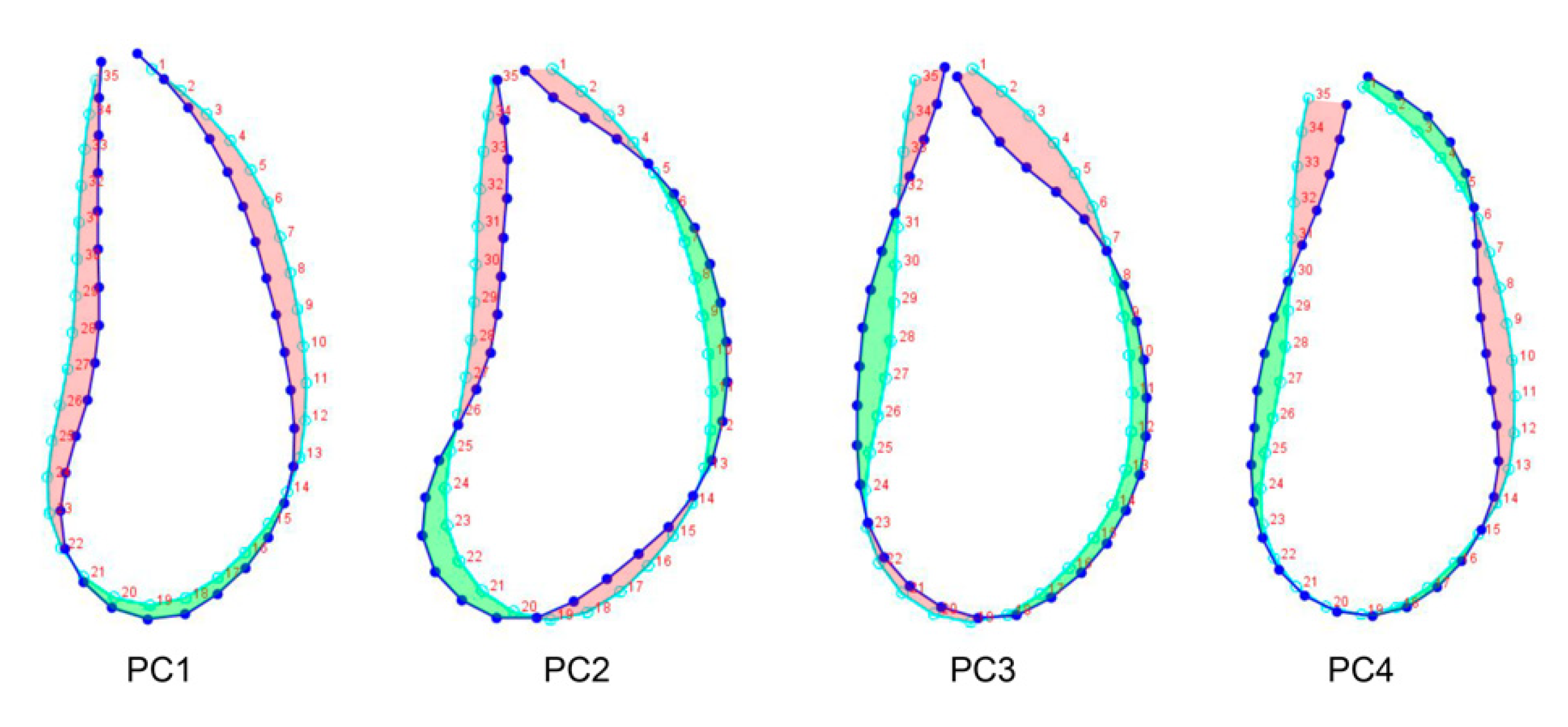 Applsci 12 03813 g003 550