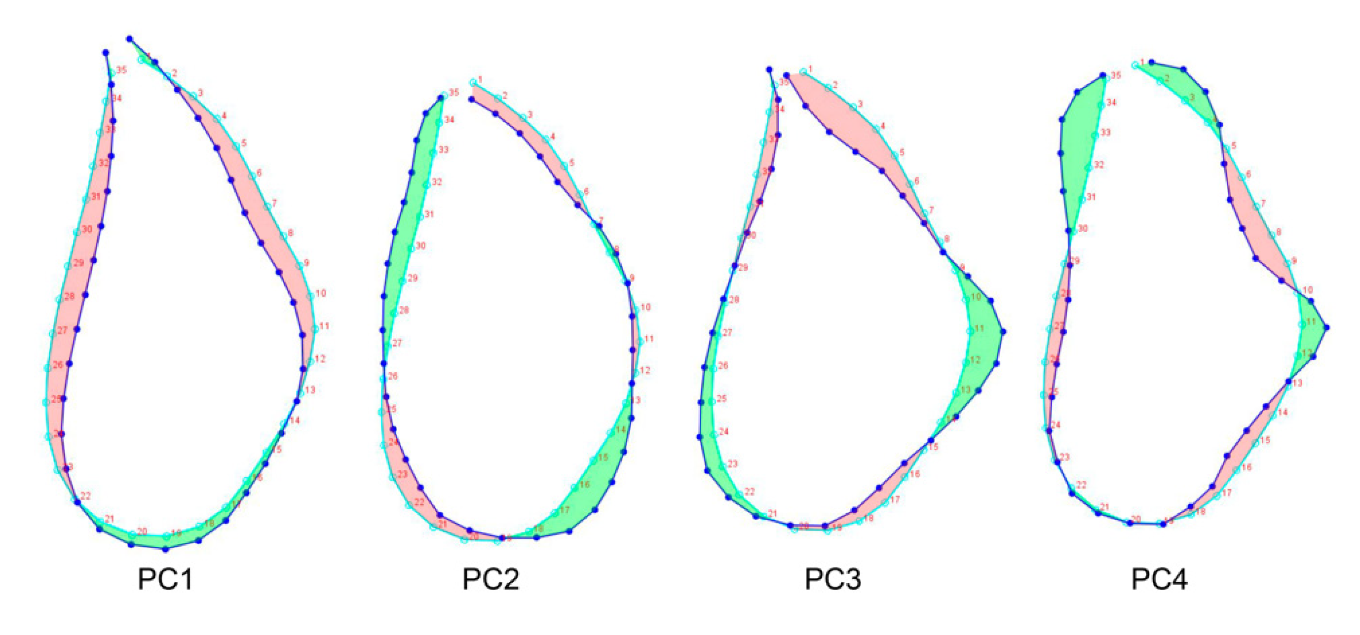 Applsci 12 03813 g004 550