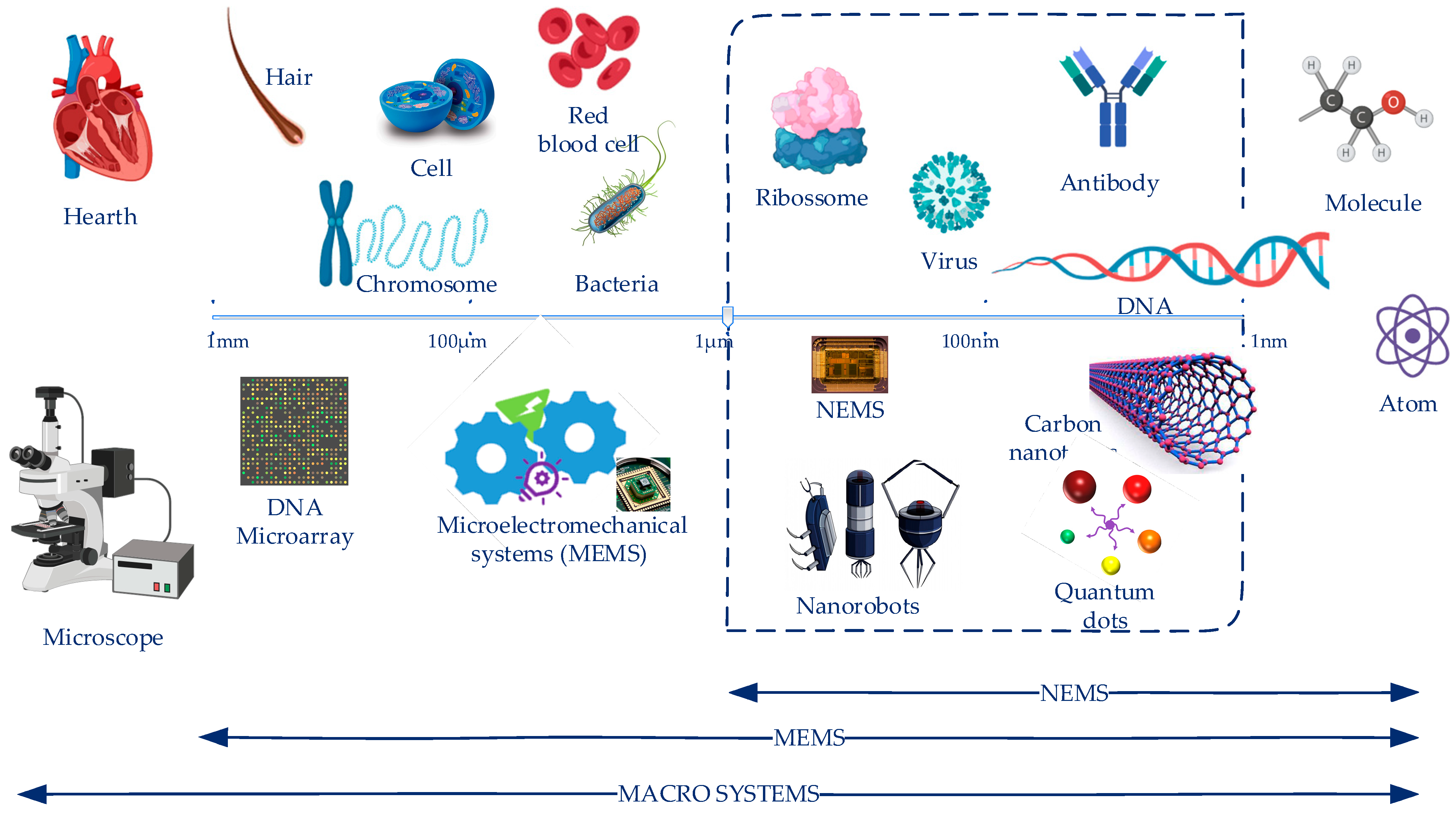 Applsci 12 03836 g001 Applsci 12 03836 g001