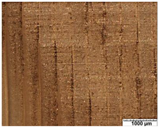 Applsci 12 03853 i004