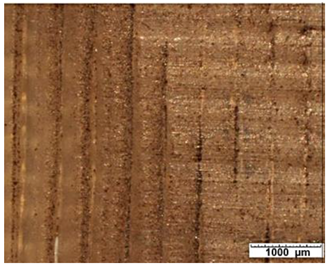 Applsci 12 03853 i005