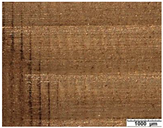 Applsci 12 03853 i007