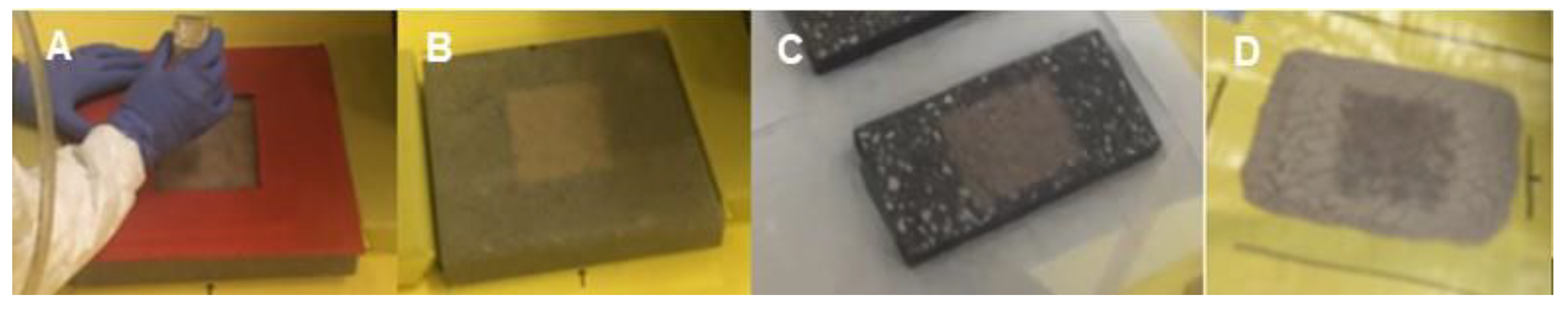 Applsci 12 03861 g001