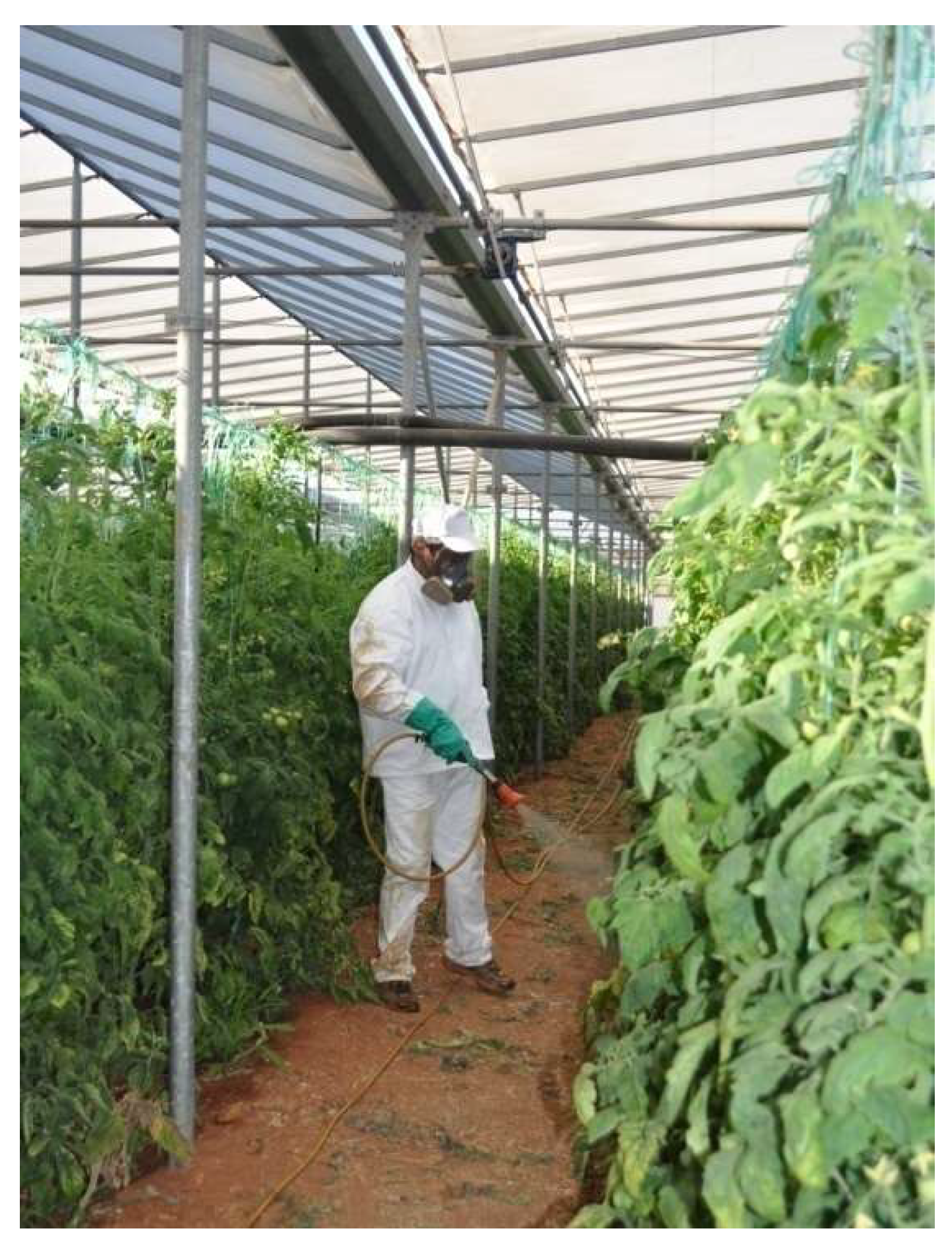 Applsci 12 03909 g001 550