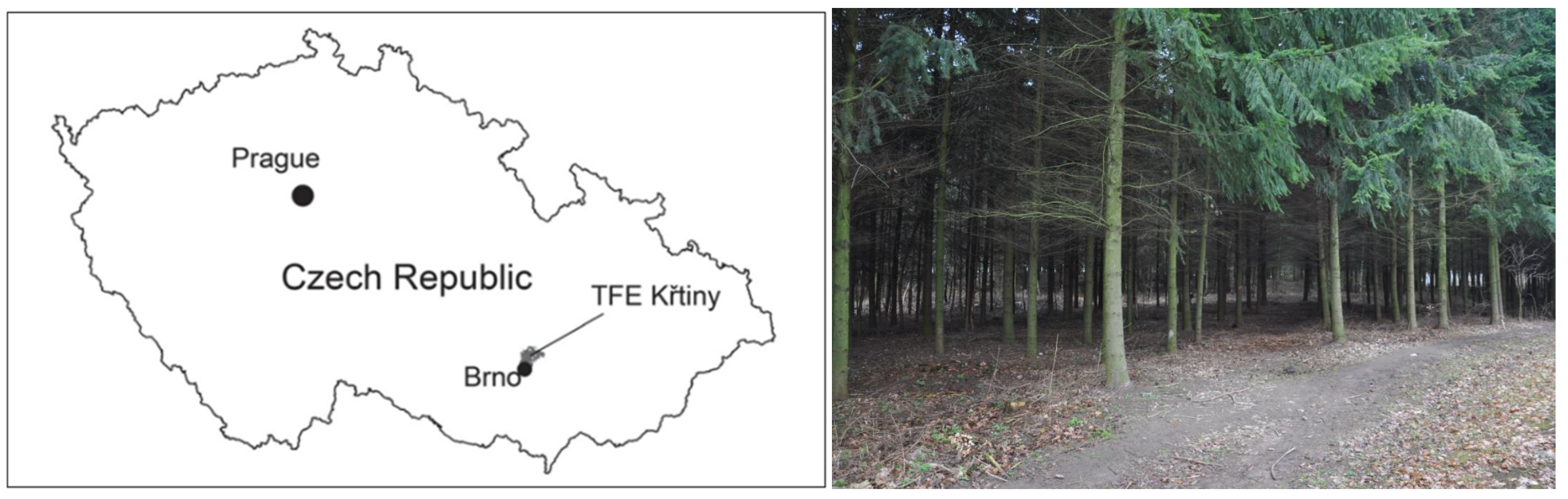 Applsci 12 03939 g001