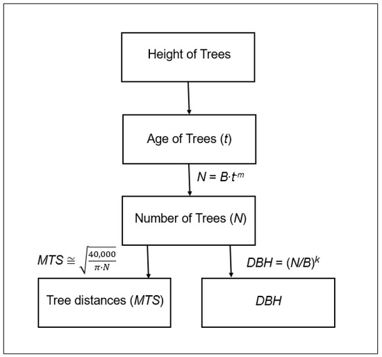 Determination of Forest Structure from Remote Sensing Data for Modeling ...