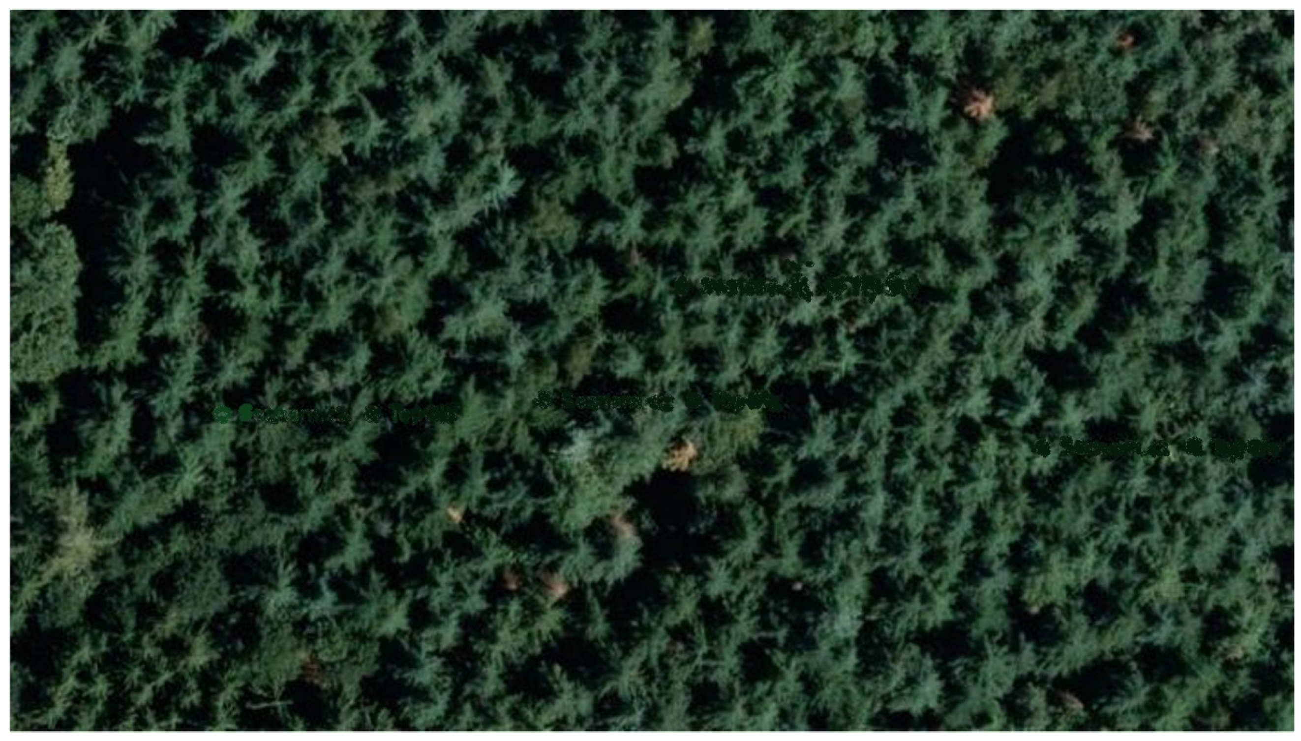 Applsci 12 03939 g008