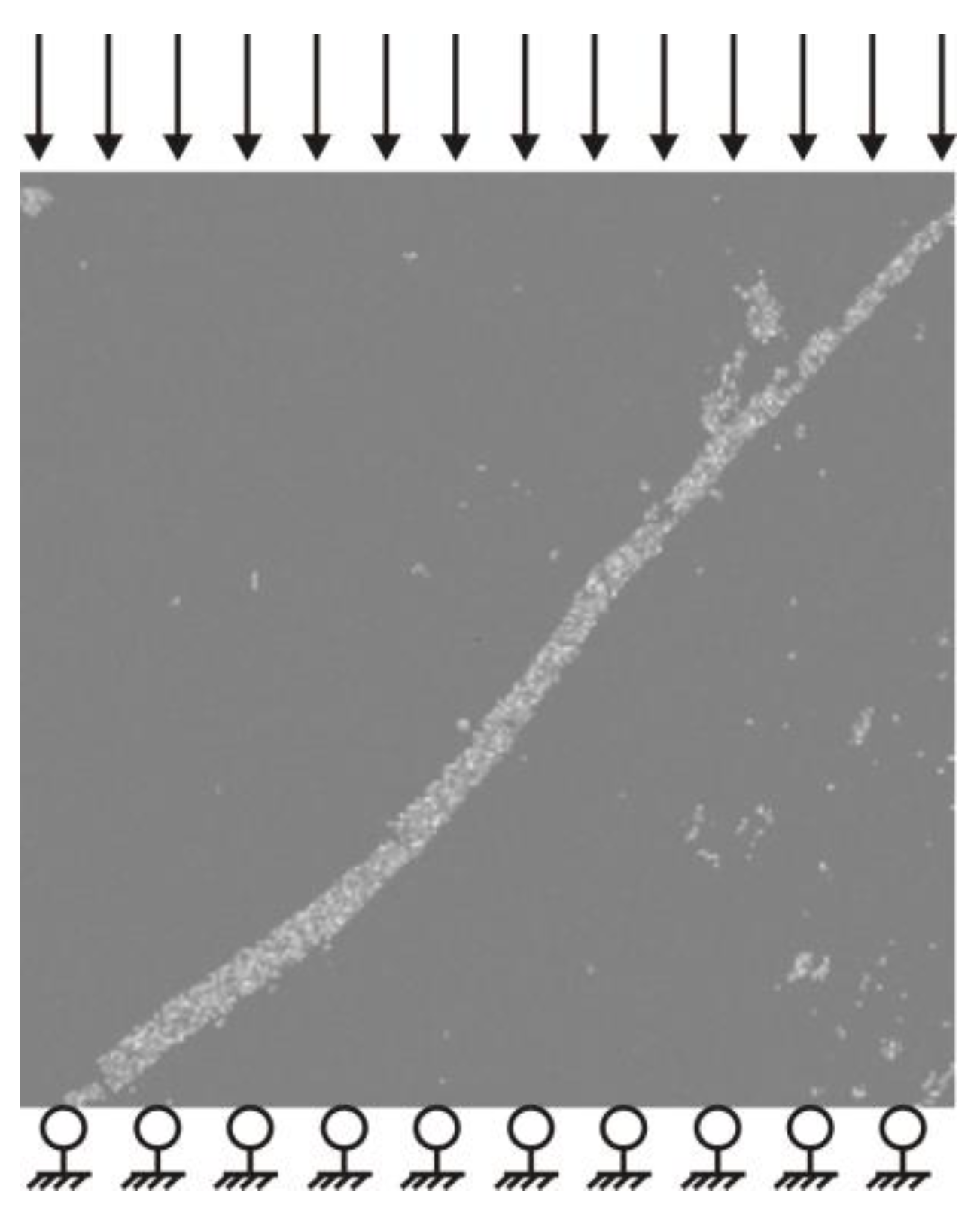 Applsci 12 03944 g002 Applsci 12 03944 g002