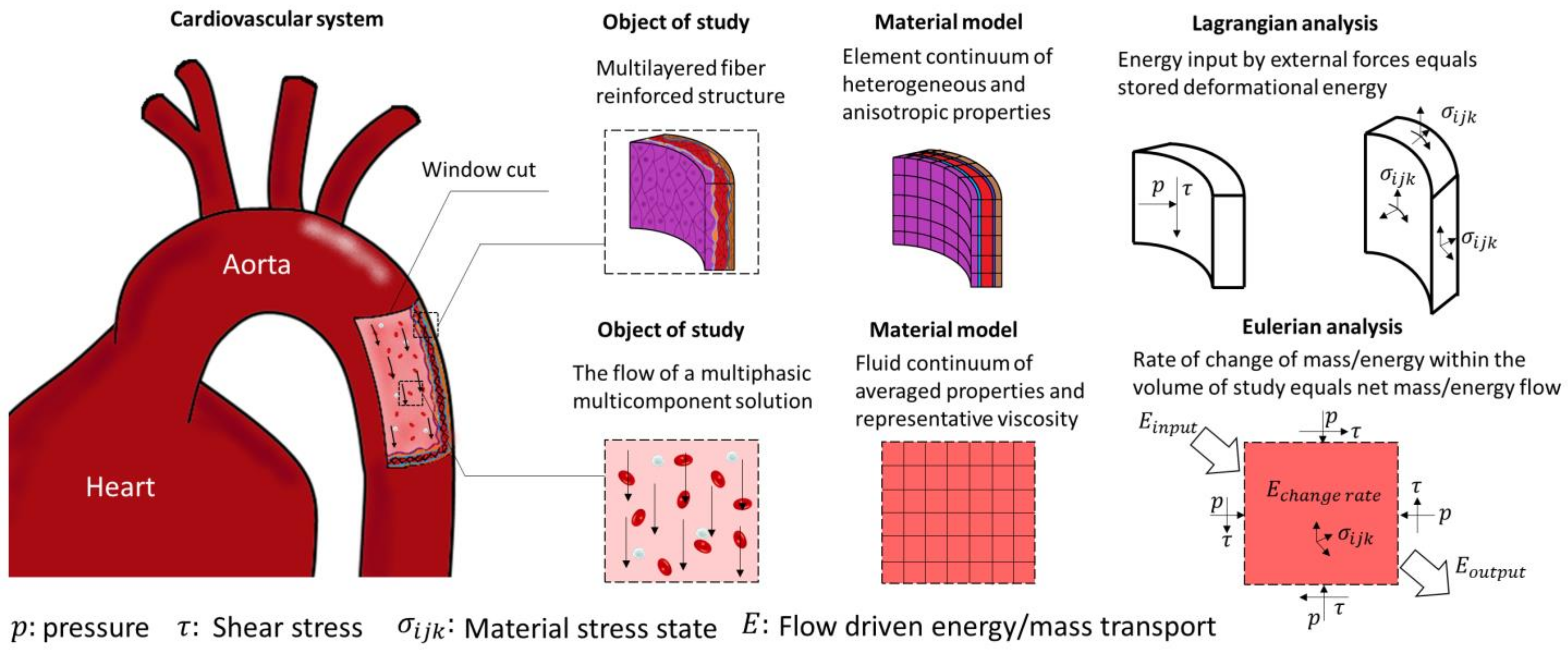 Applsci 12 03954 g002 Applsci 12 03954 g002