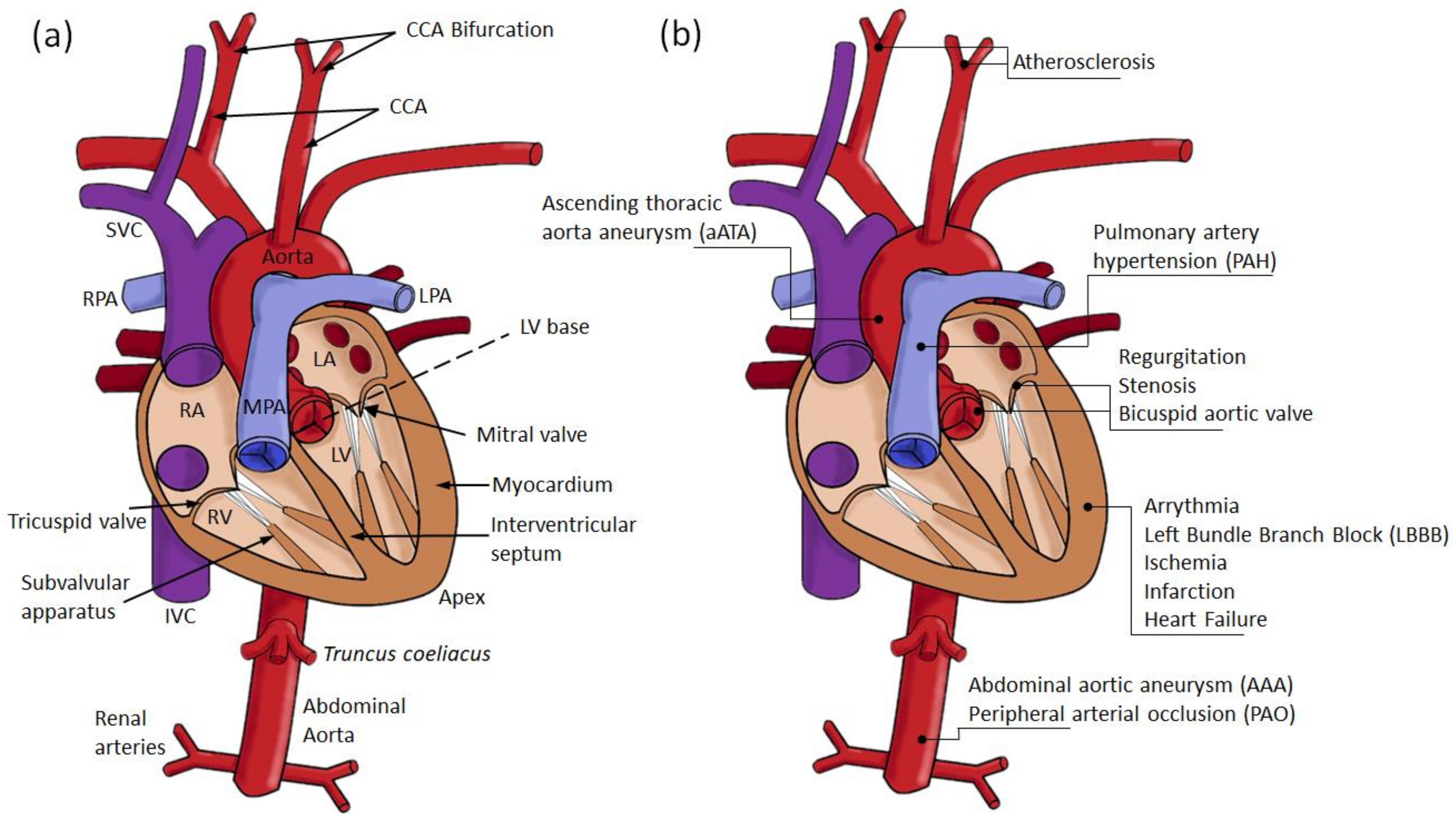 Applsci 12 03954 g010 Applsci 12 03954 g010