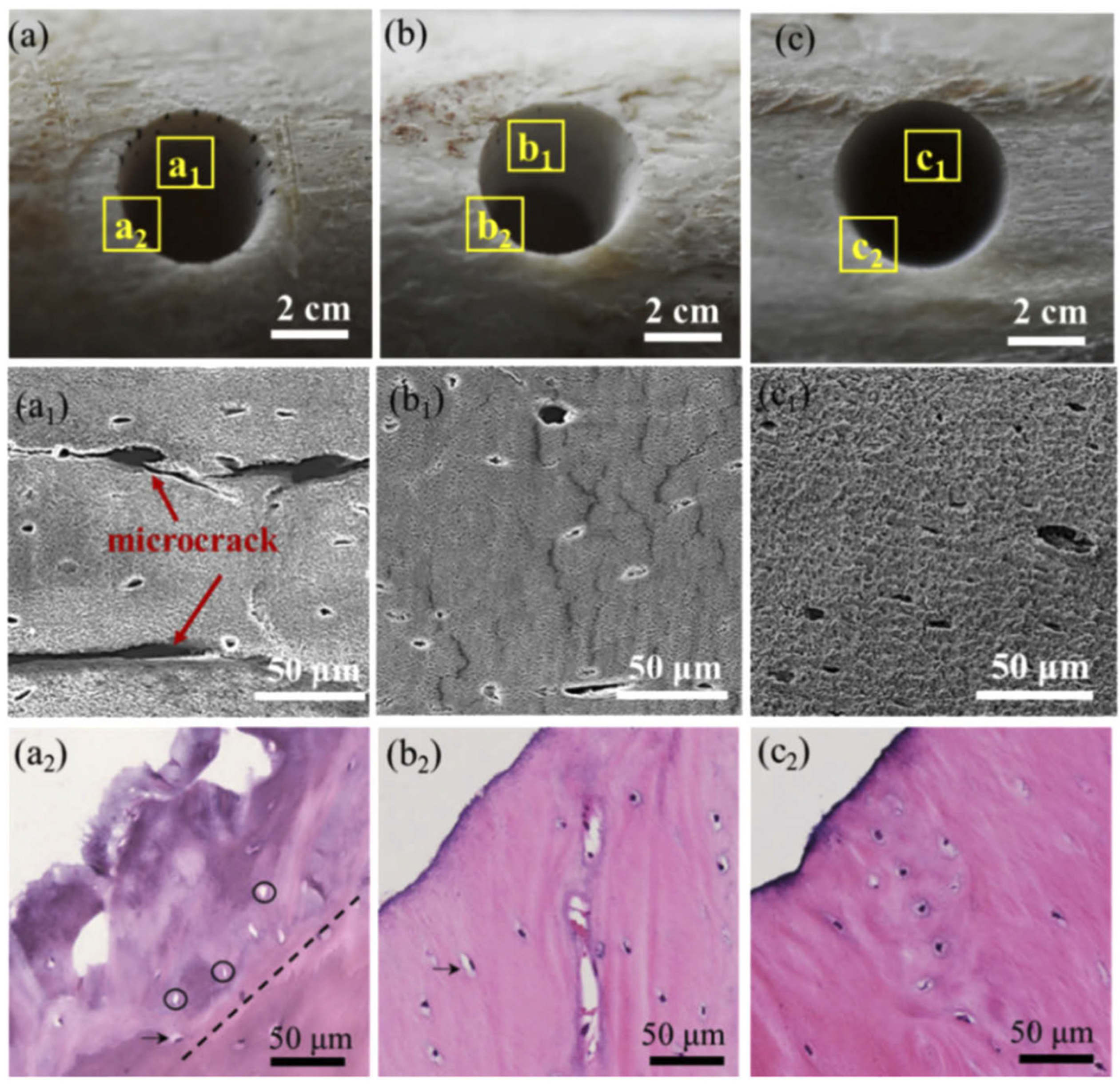 Applsci 12 03957 g002 Applsci 12 03957 g002