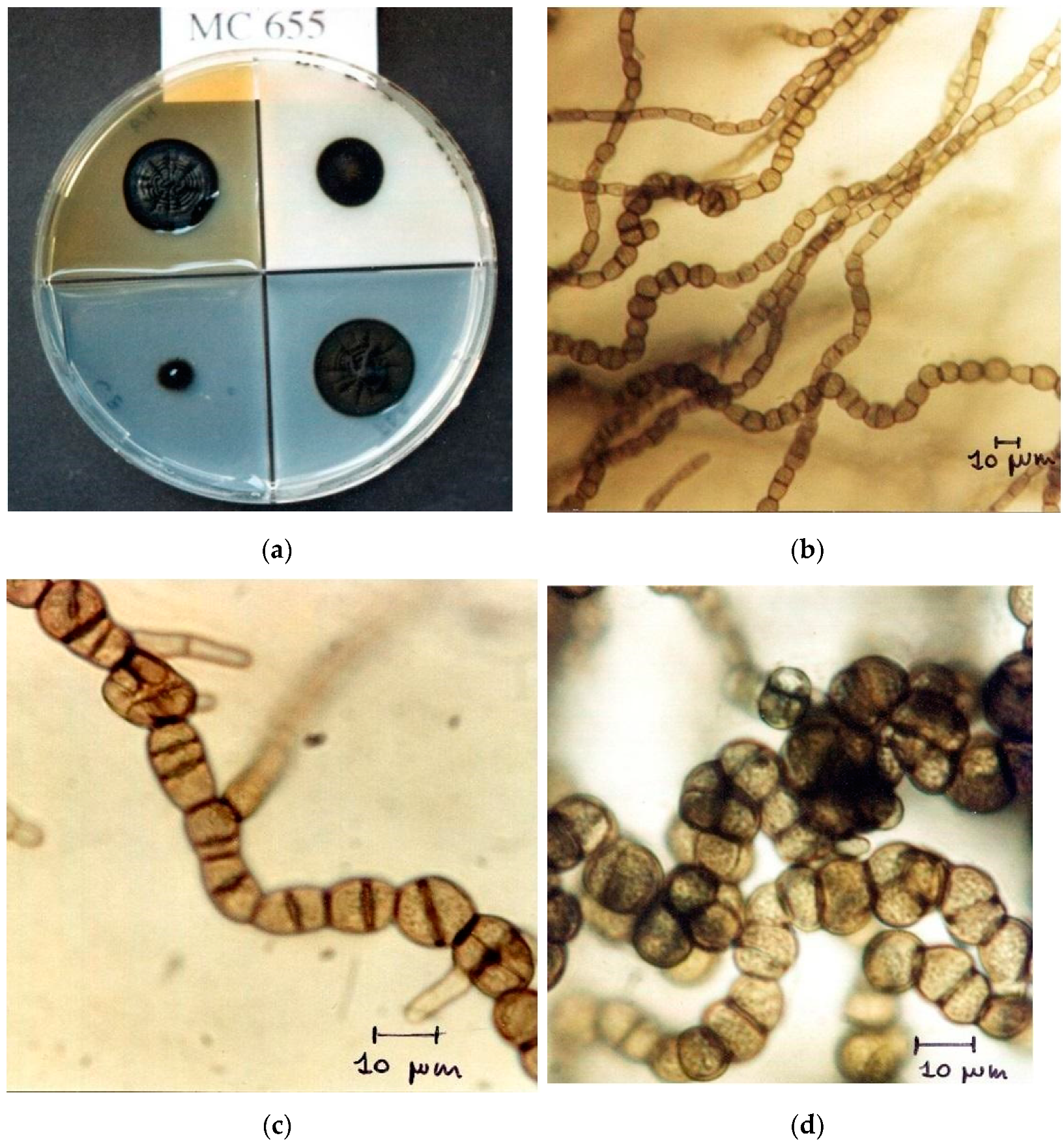 Applsci 12 03969 g001 Applsci 12 03969 g001