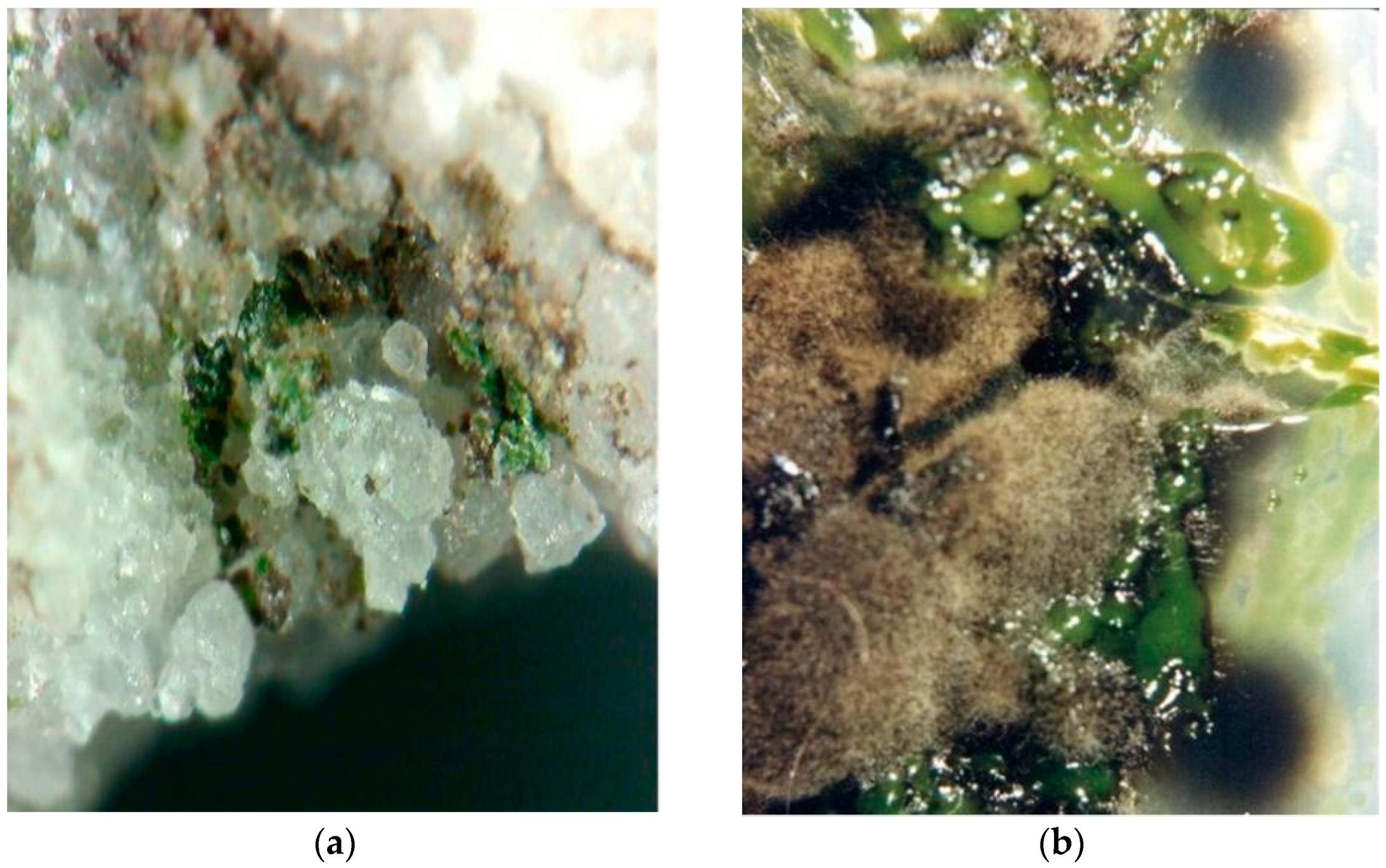 Applsci 12 03969 g002 Applsci 12 03969 g002