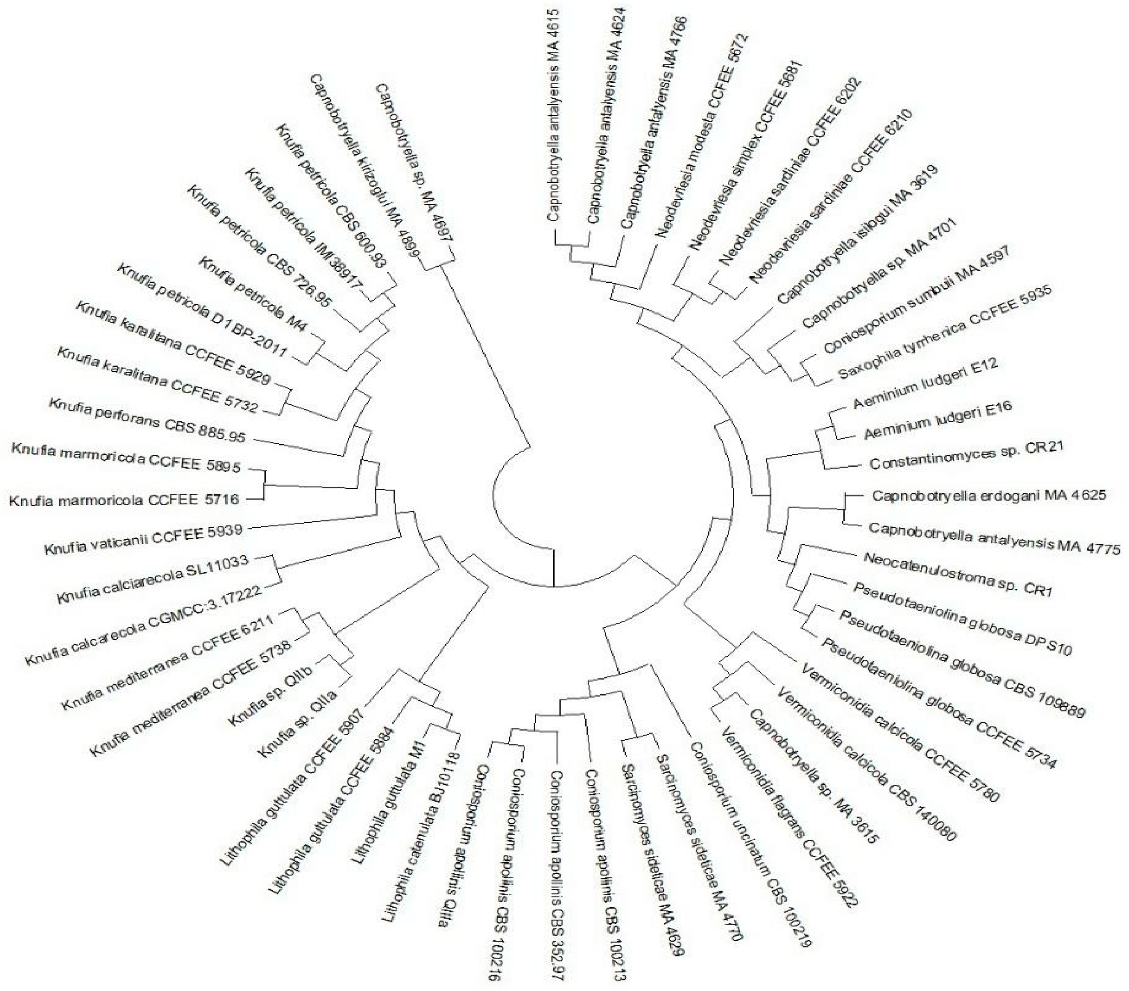 Applsci 12 03969 g003 Applsci 12 03969 g003