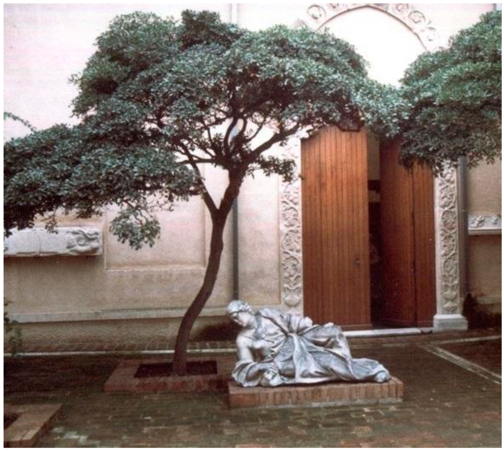 Applsci 12 03969 g004 Applsci 12 03969 g004