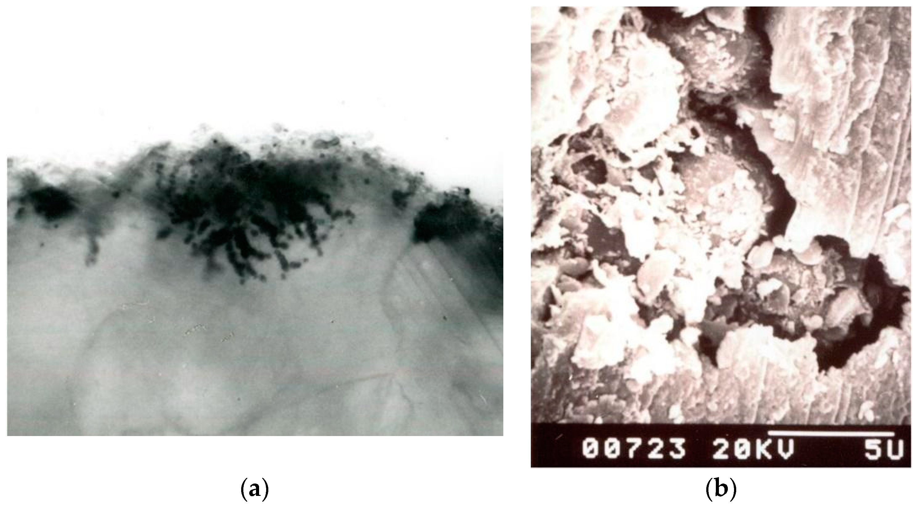 Applsci 12 03969 g005 Applsci 12 03969 g005