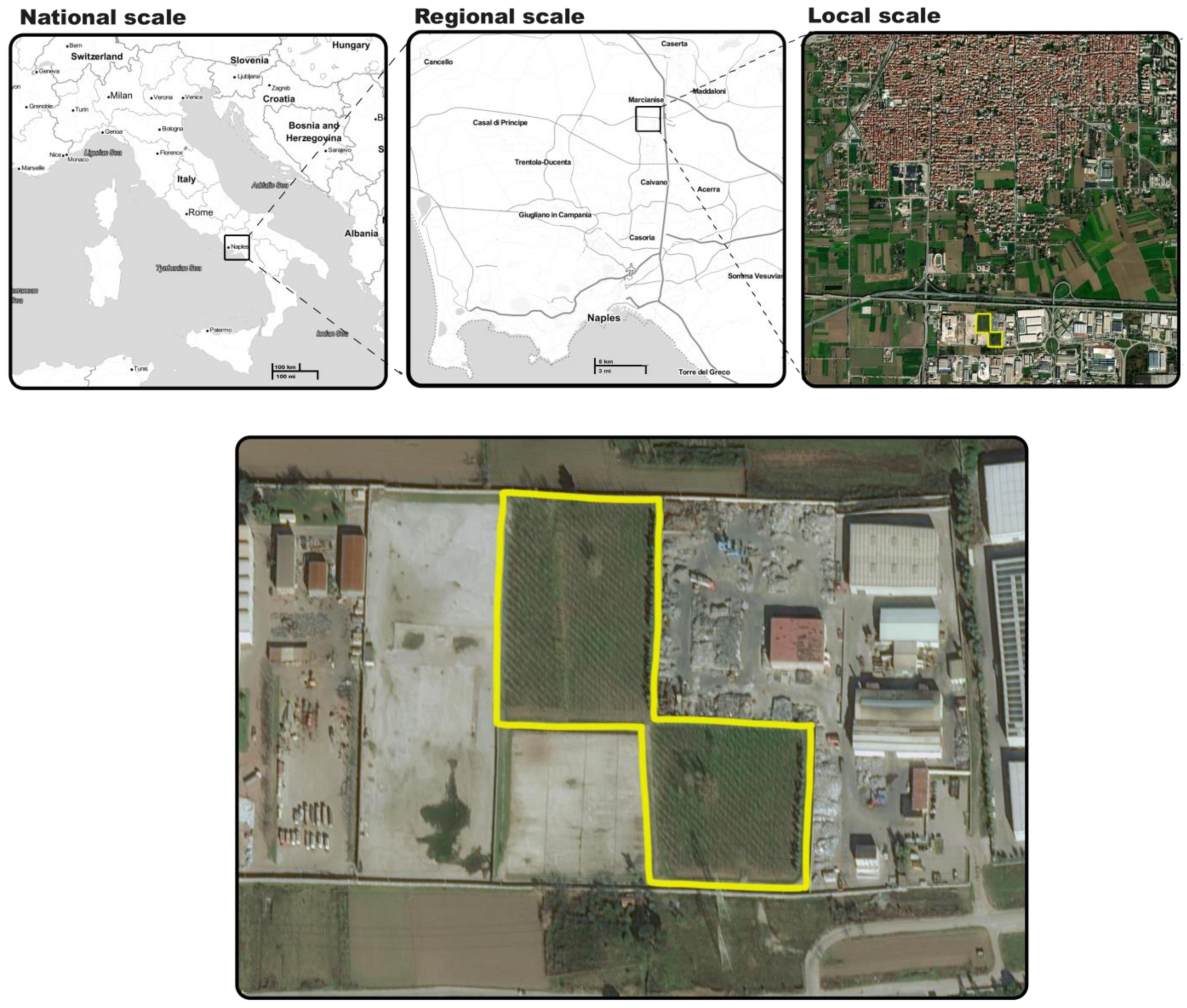 Applsci 12 03993 g001