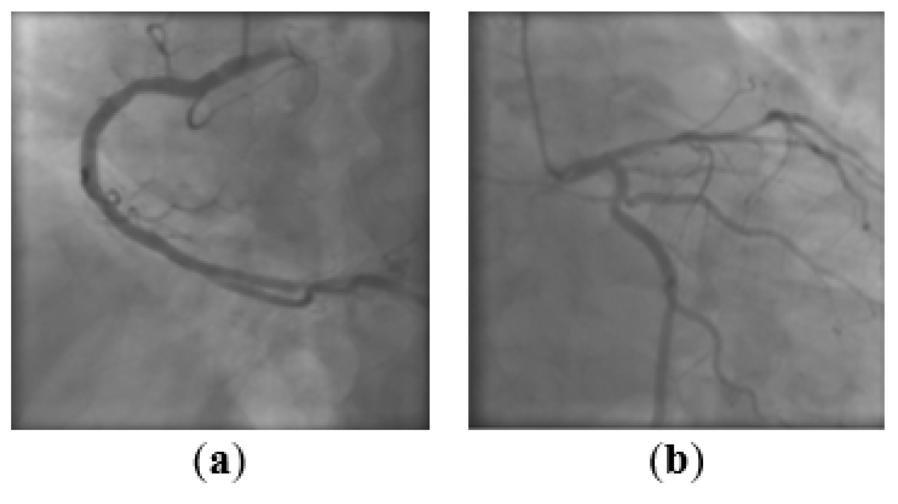 Applsci 12 03997 g007 550