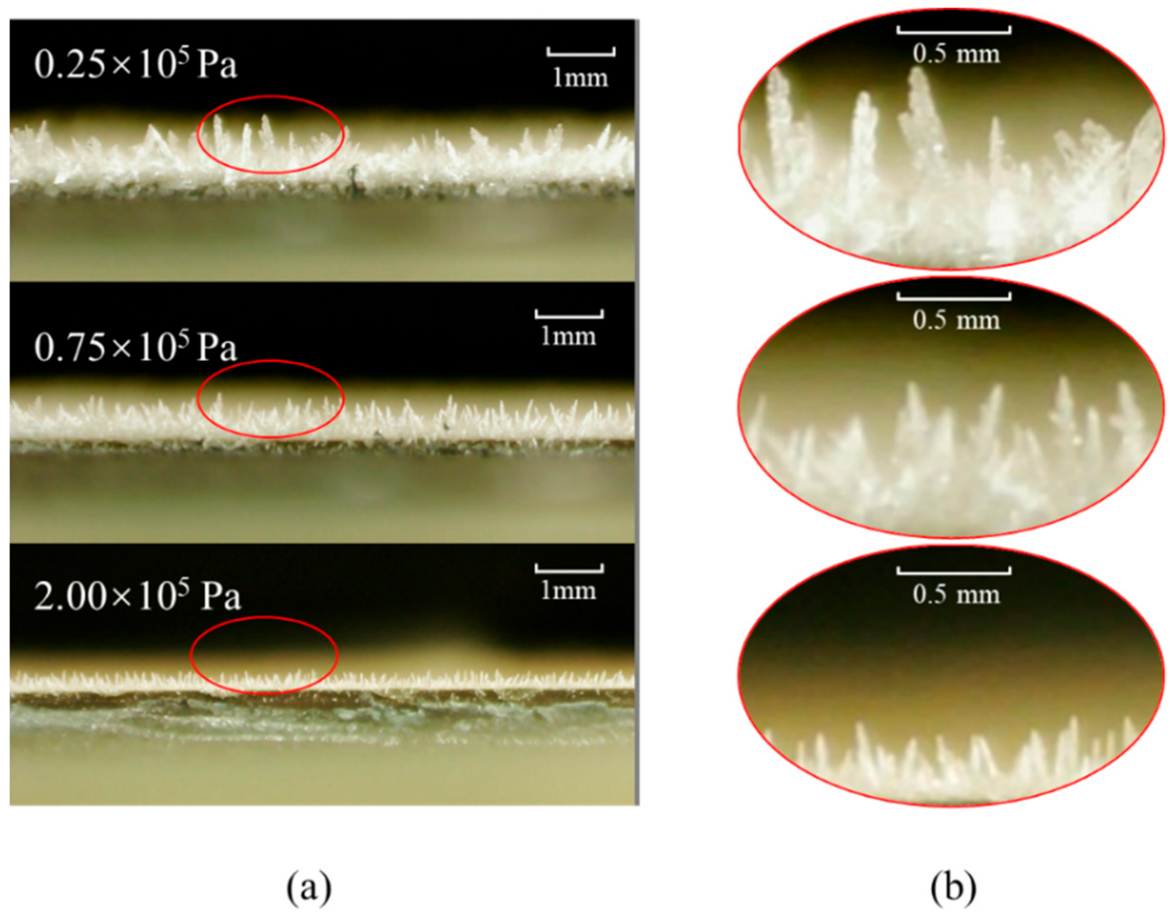 Applsci 12 04025 g005