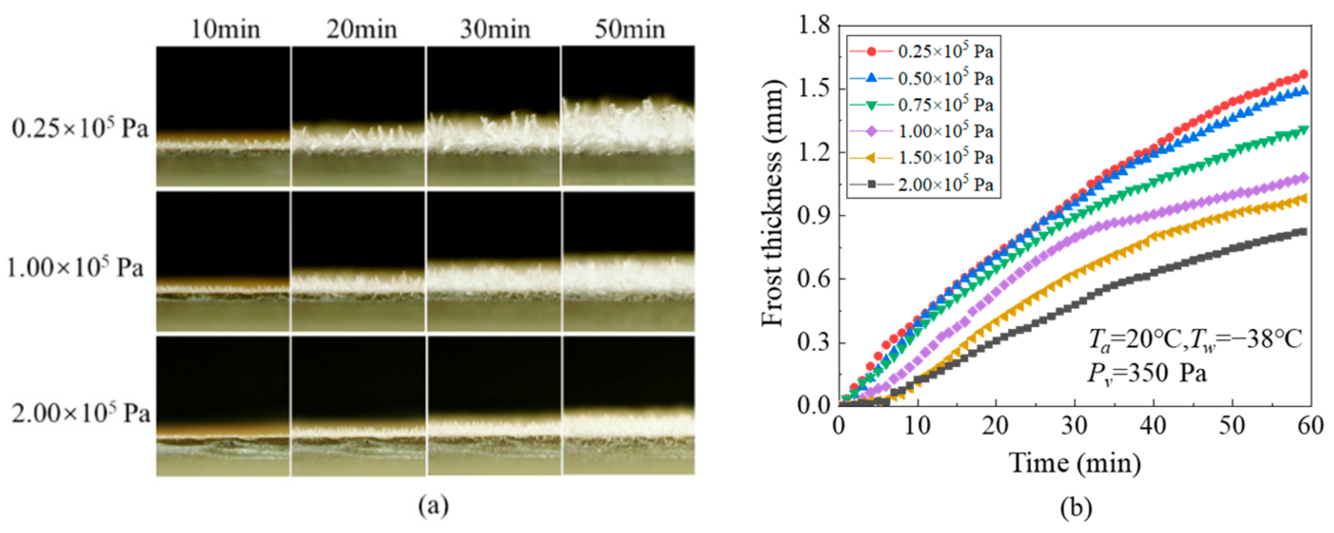 Applsci 12 04025 g006