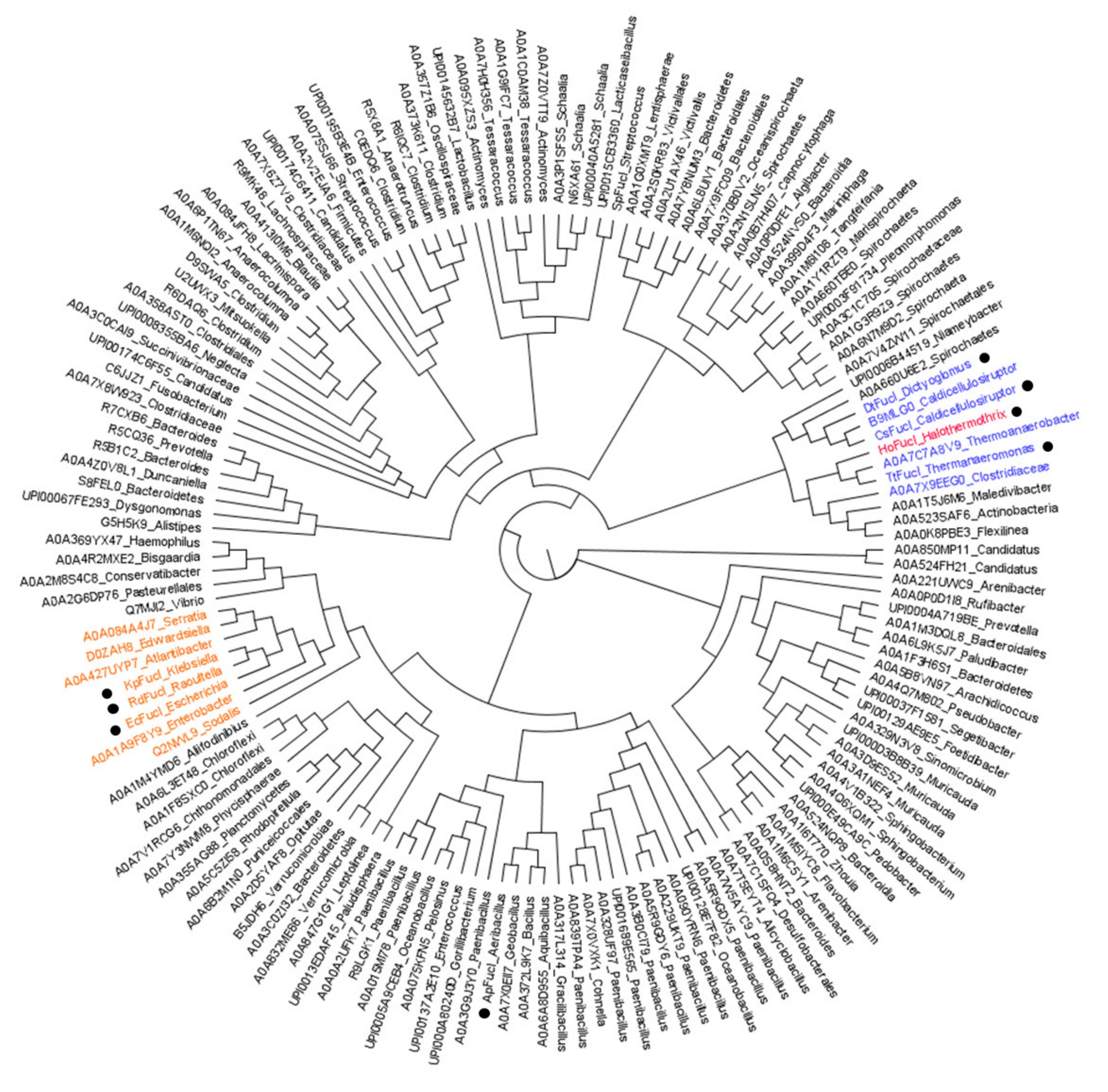 Applsci 12 04029 g005