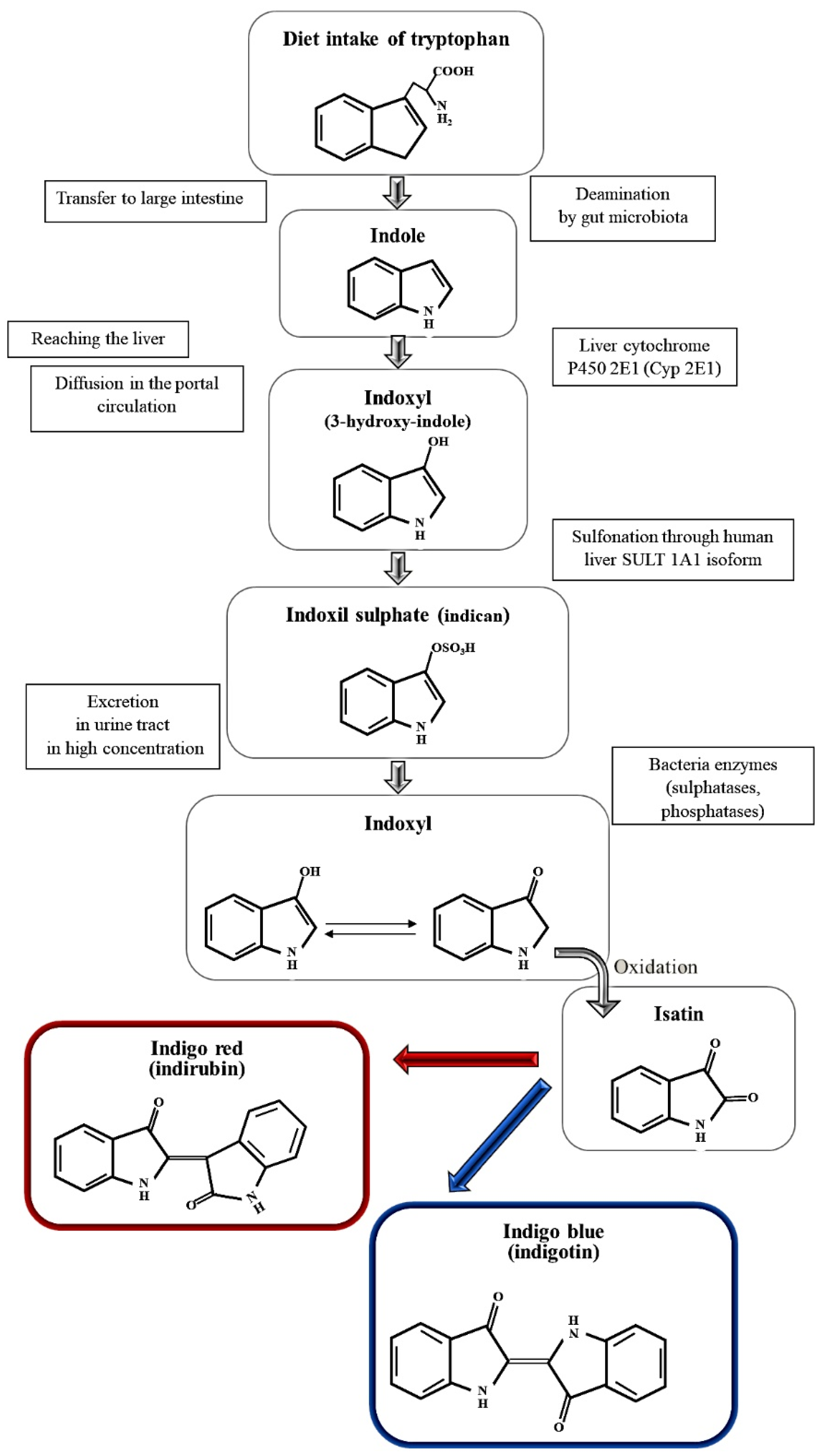 Applsci 12 04034 g003