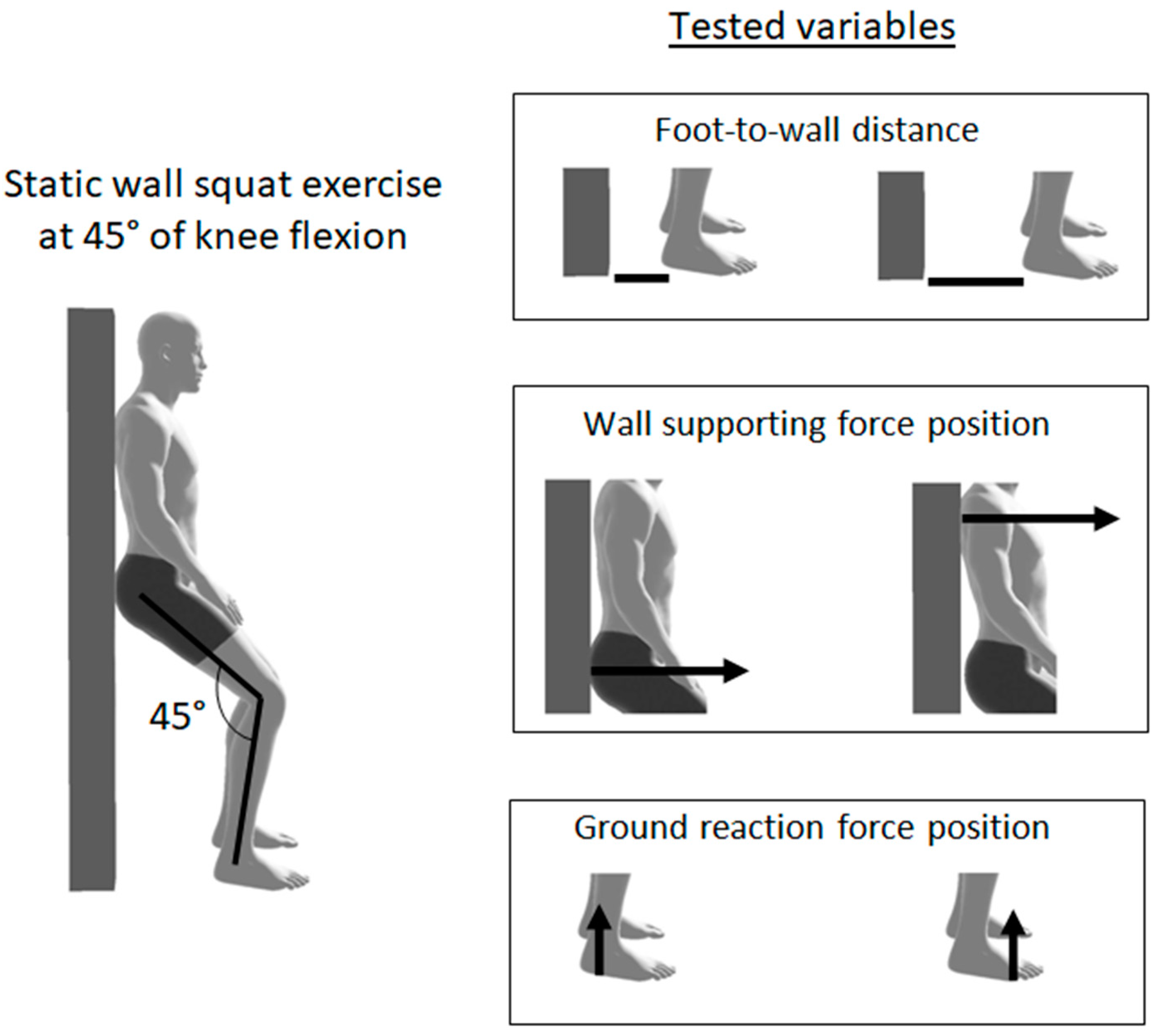 Progressive nature of weight bearing during the rehabilitation