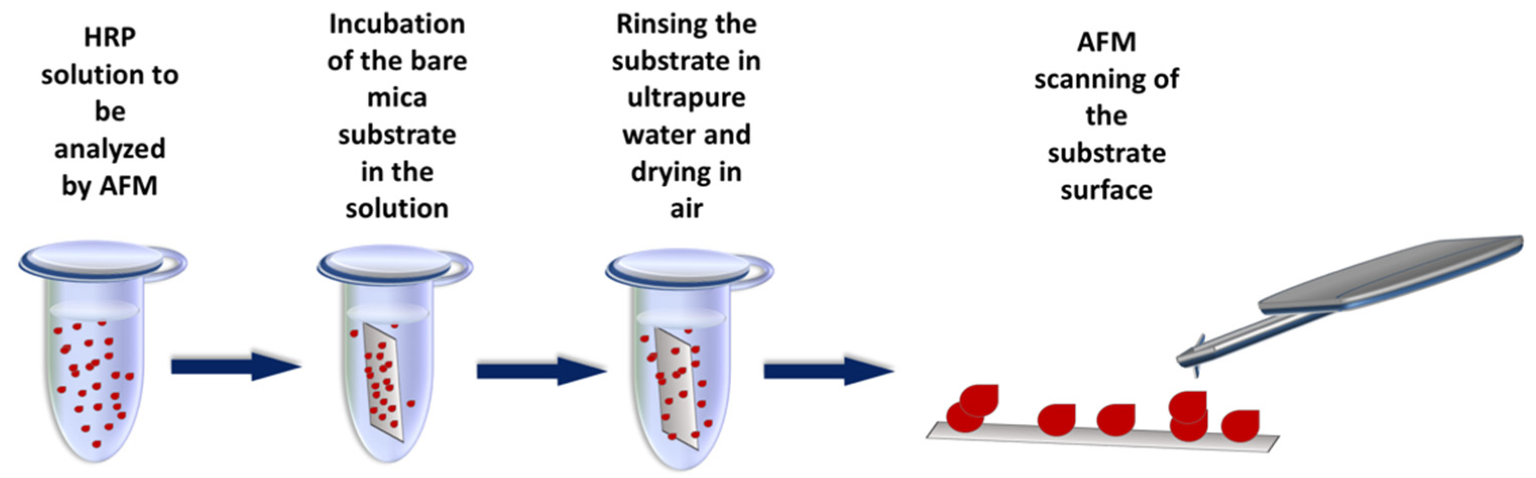 Applsci 12 04042 g002