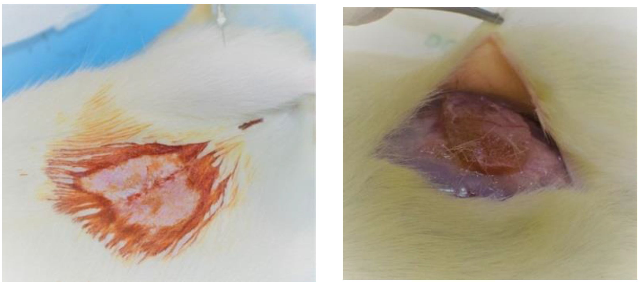 Applsci 12 04056 g003 550