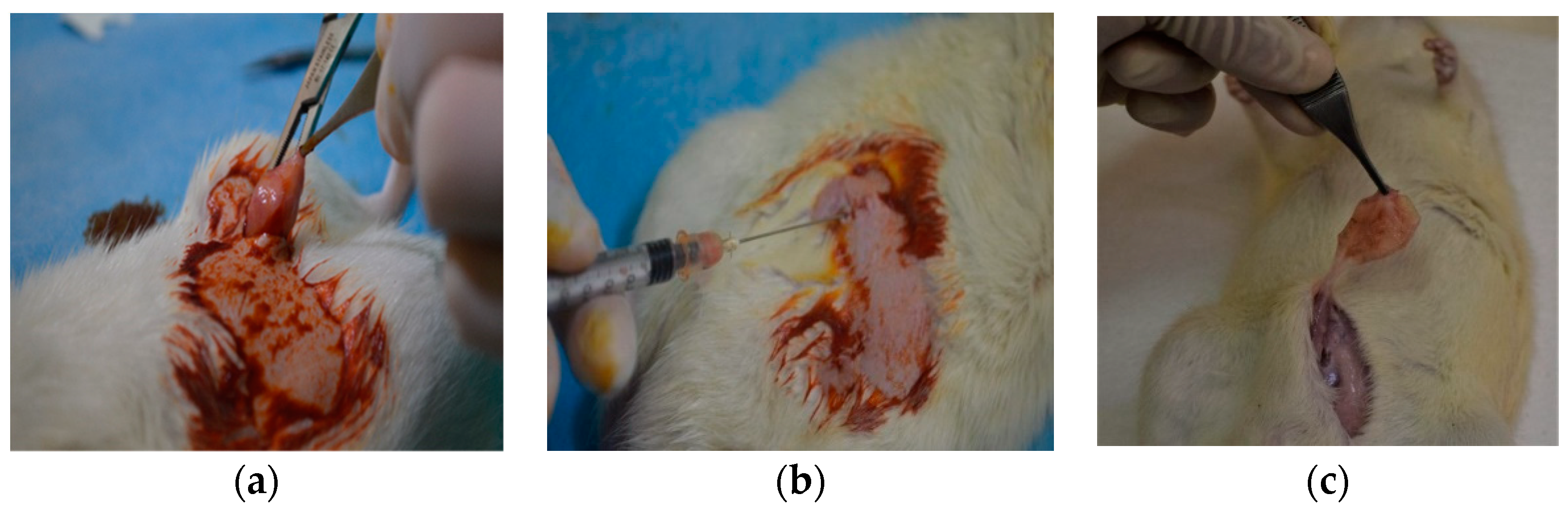 Applsci 12 04056 g004 550