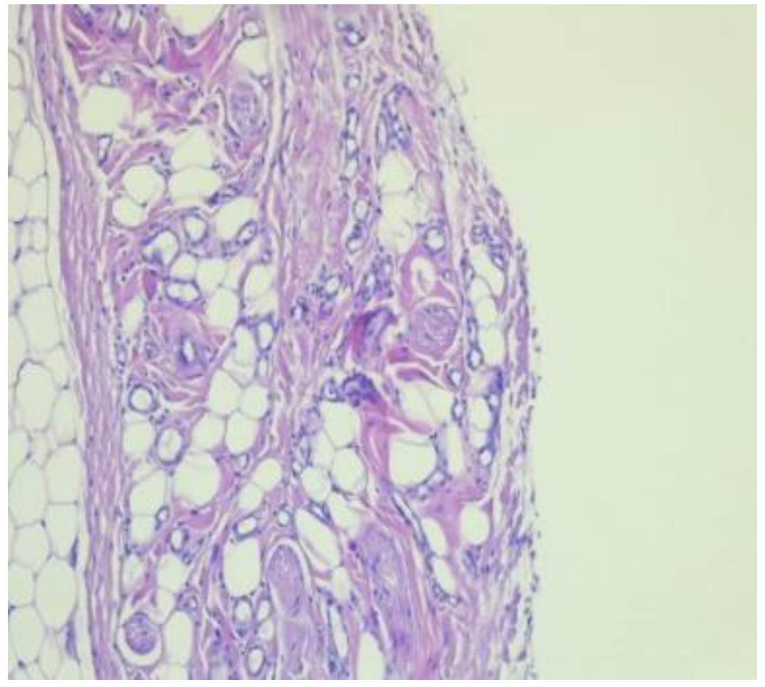 Applsci 12 04056 g008 550