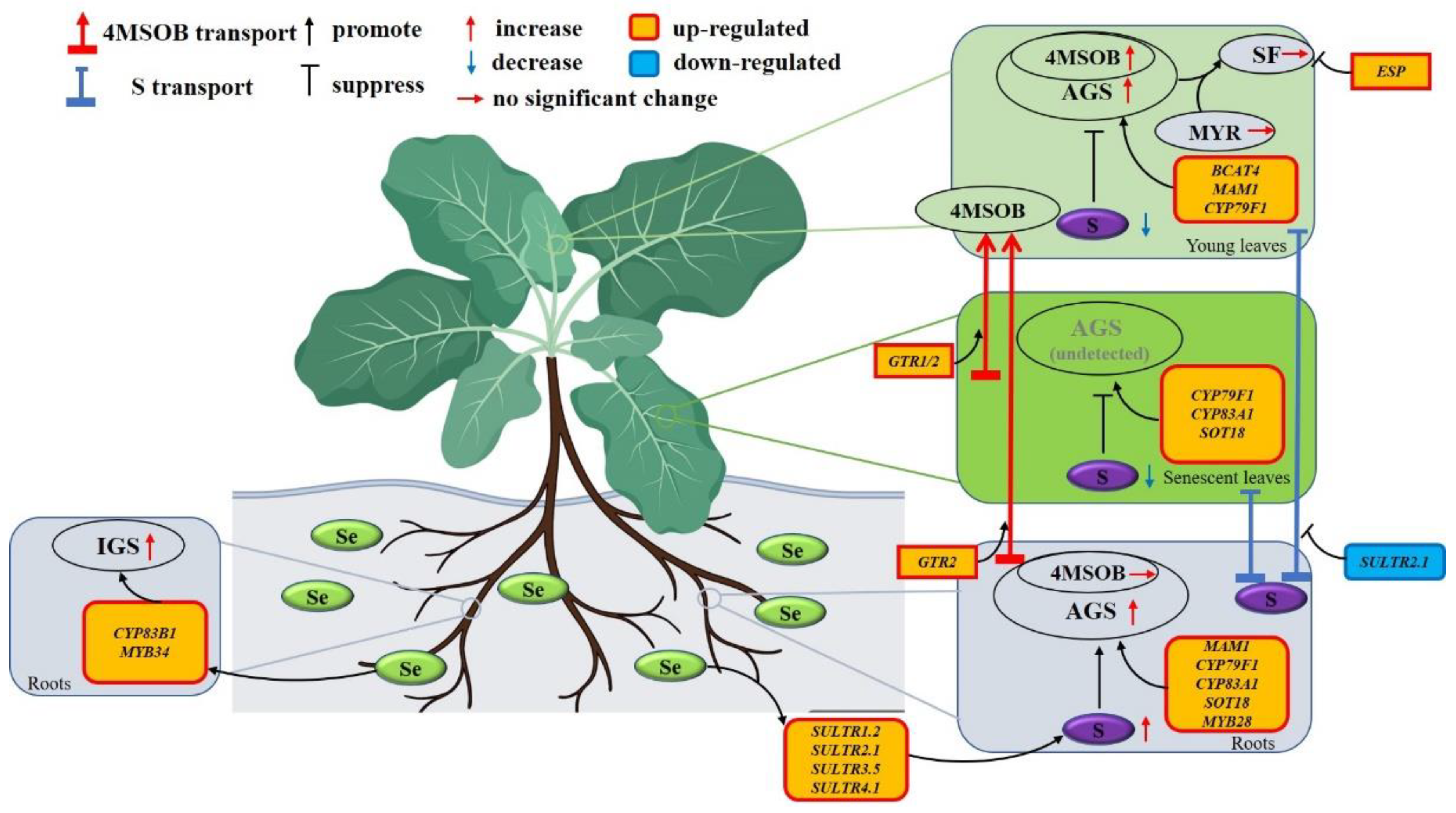Applsci 12 04101 g007 550