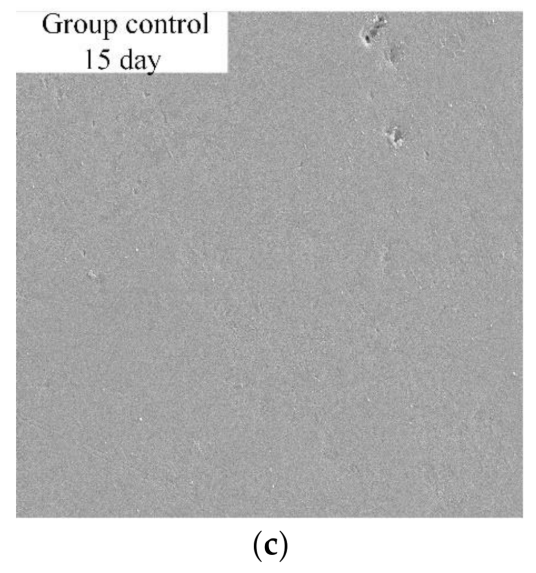 Applsci 12 04105 g010b