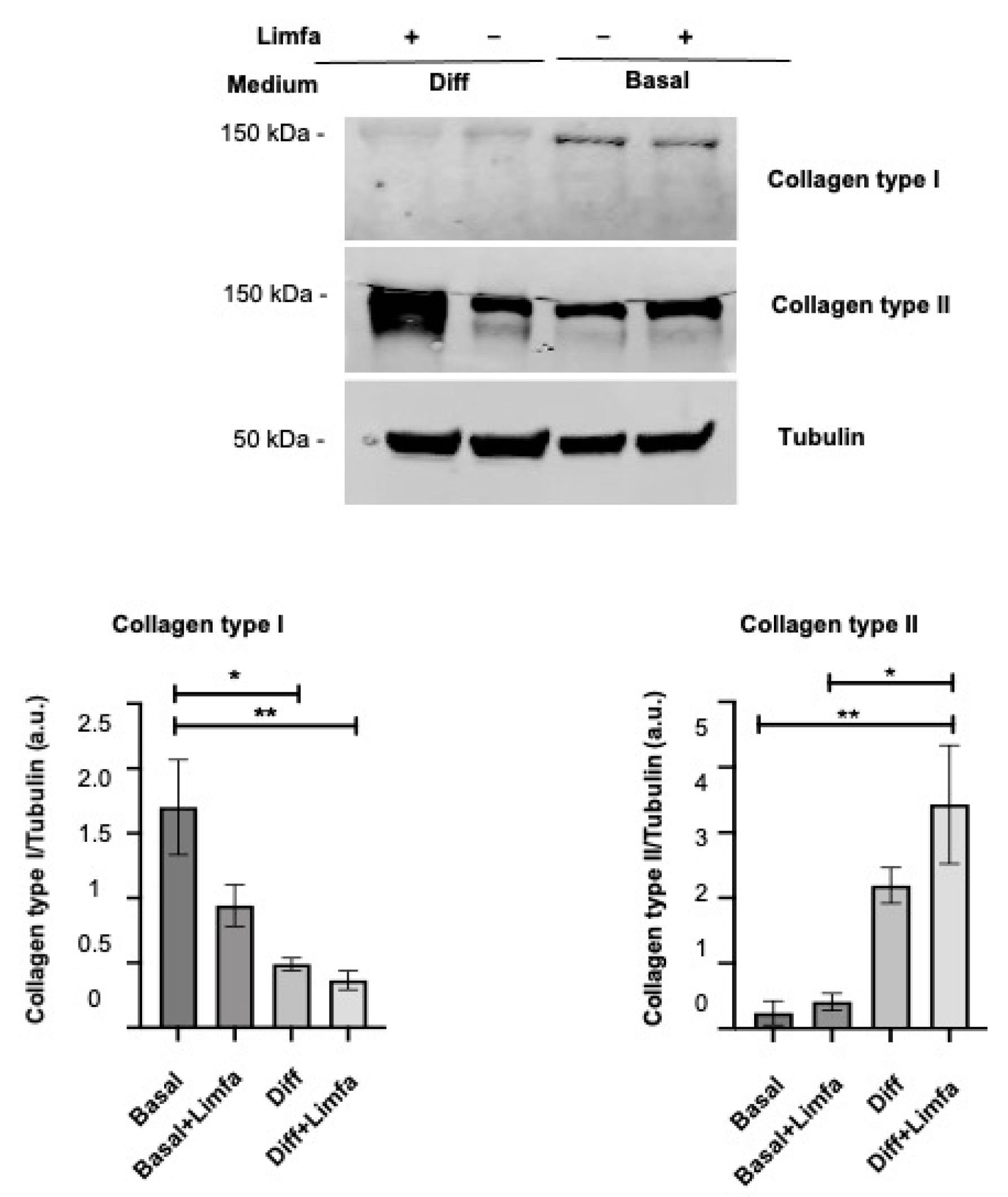 Applsci 12 04116 g003 550