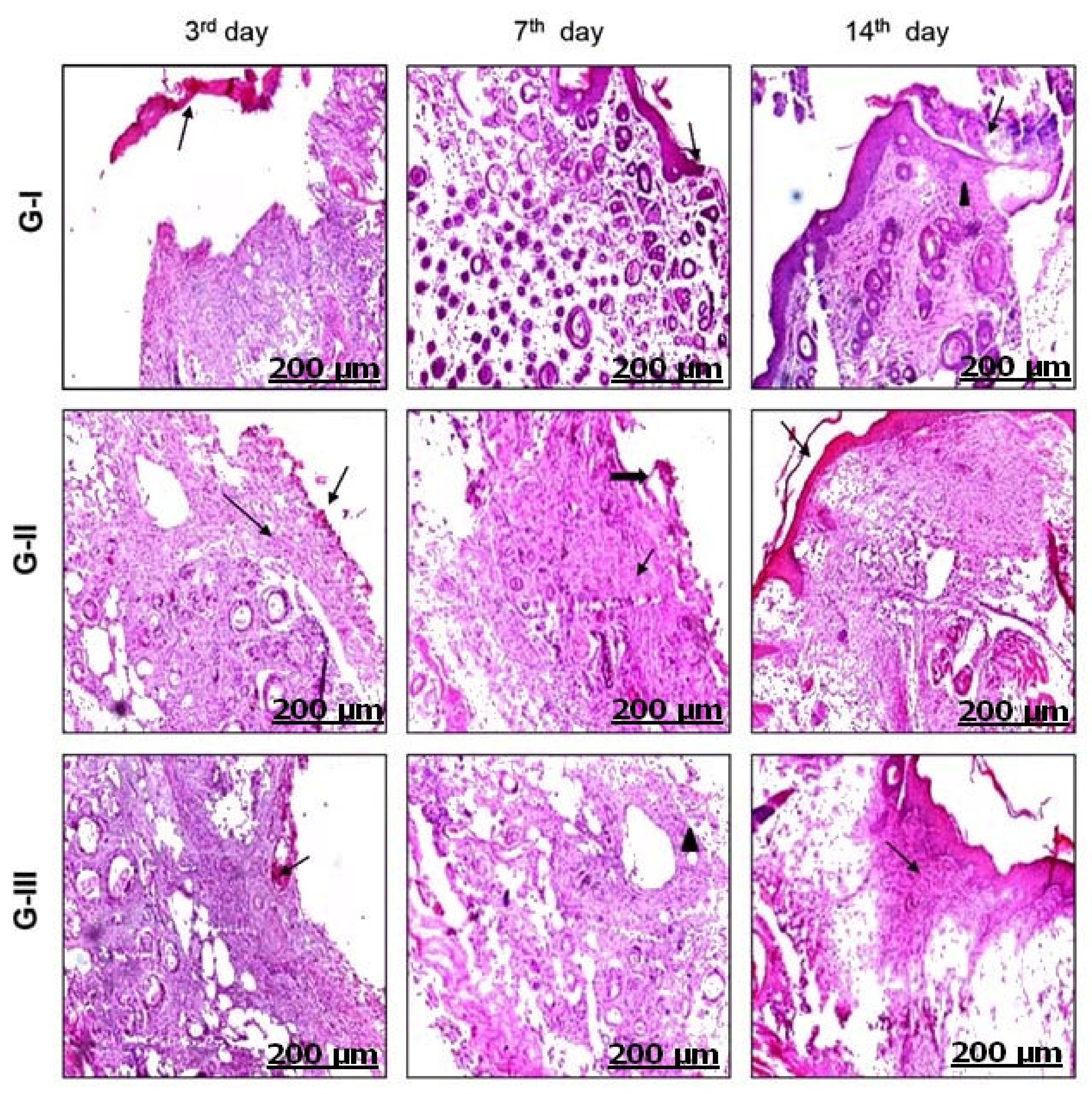 Applsci 12 04121 g005 Applsci 12 04121 g005