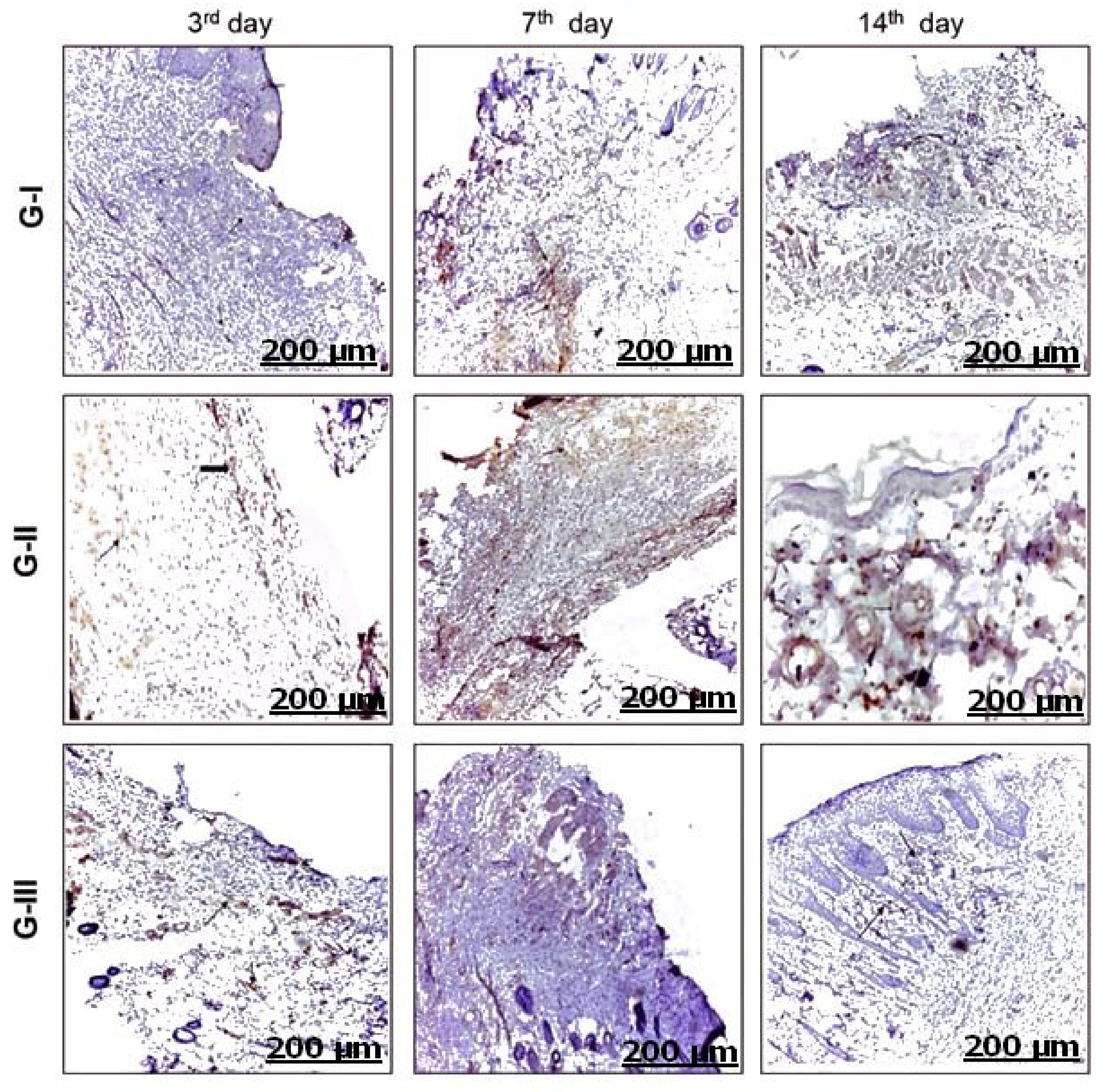 Applsci 12 04121 g006 Applsci 12 04121 g006