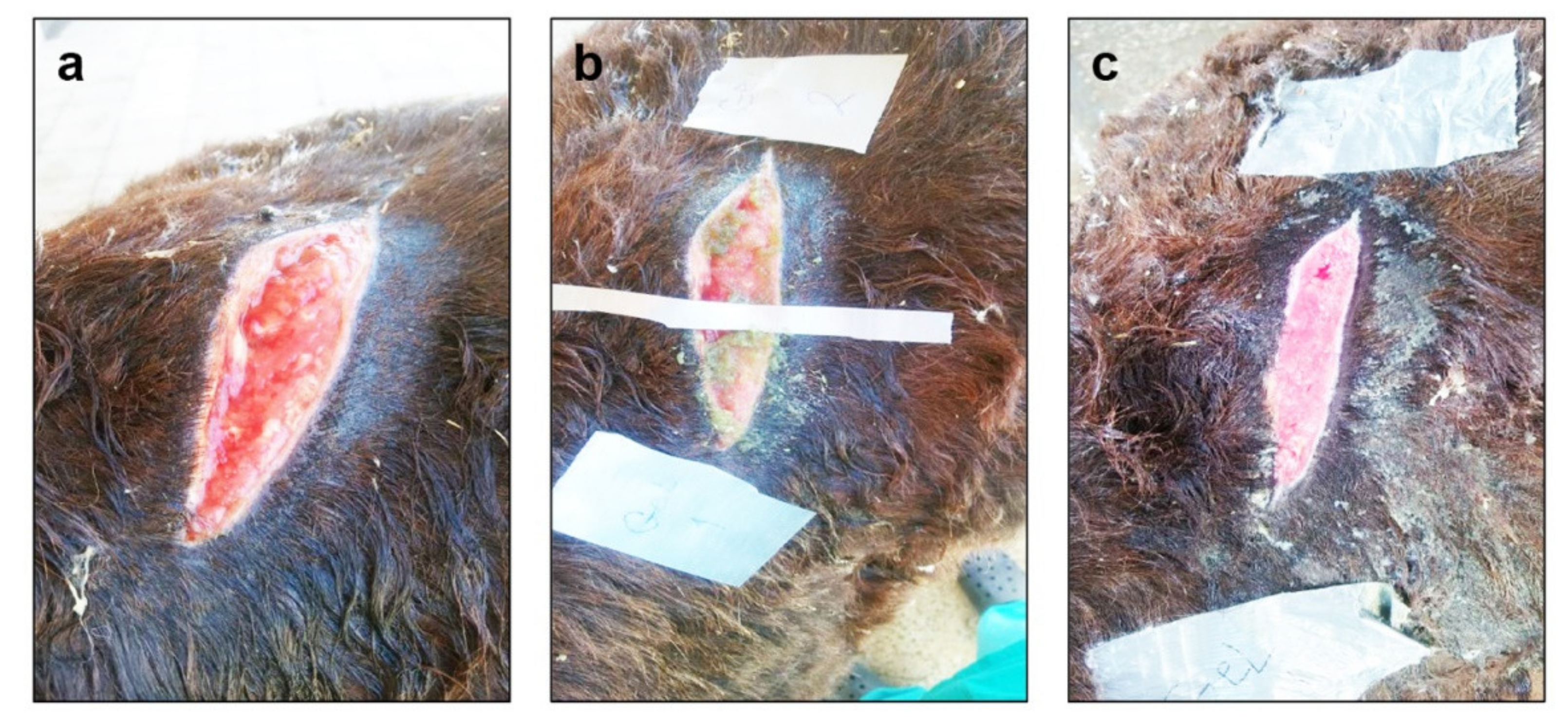 Applsci 12 04121 g007 Applsci 12 04121 g007