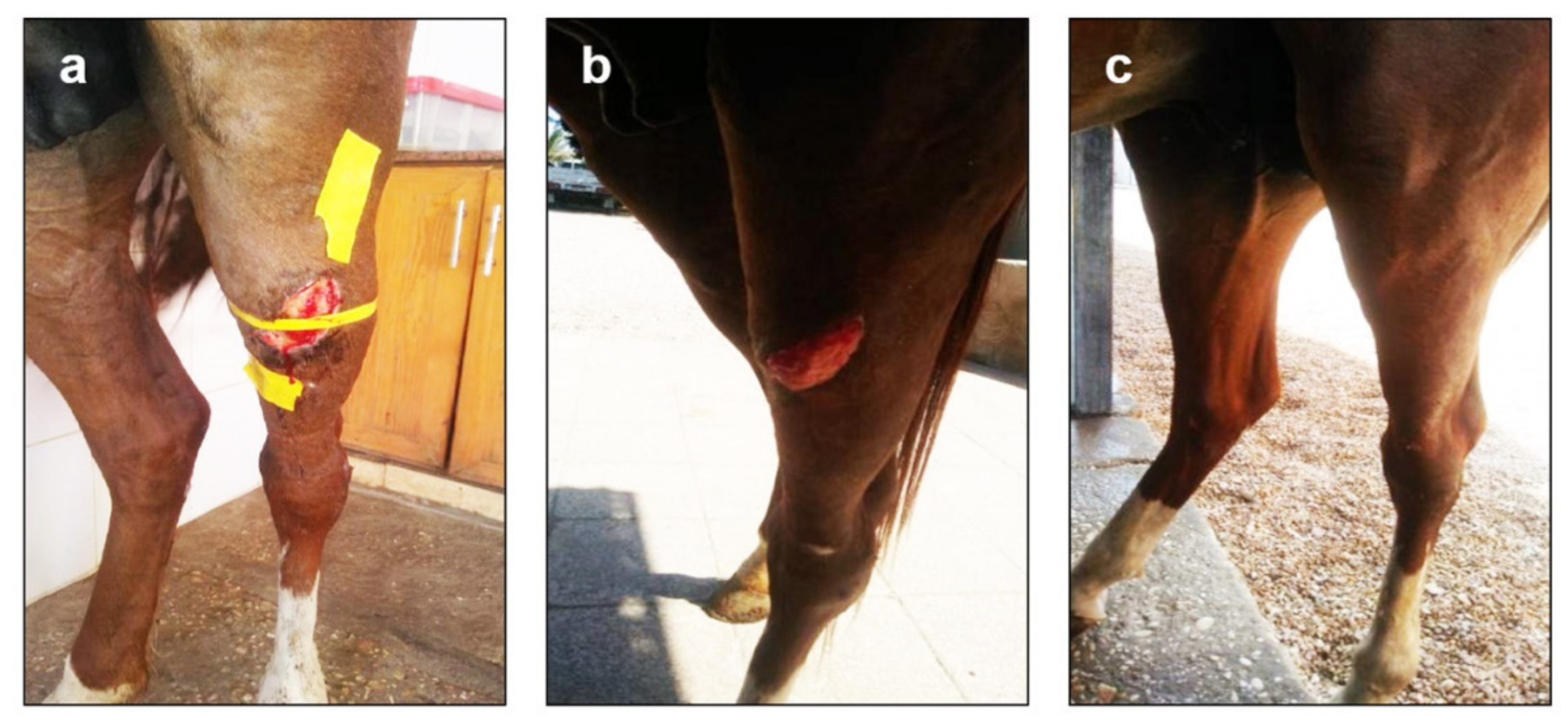 Applsci 12 04121 g008 Applsci 12 04121 g008